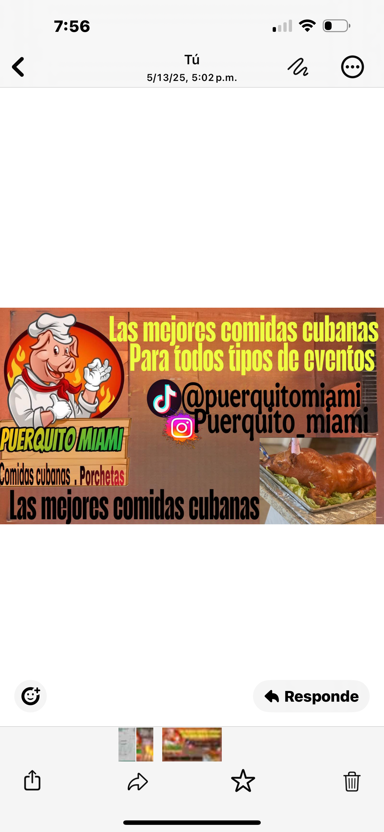 cerdomiami in hialeah gardens
