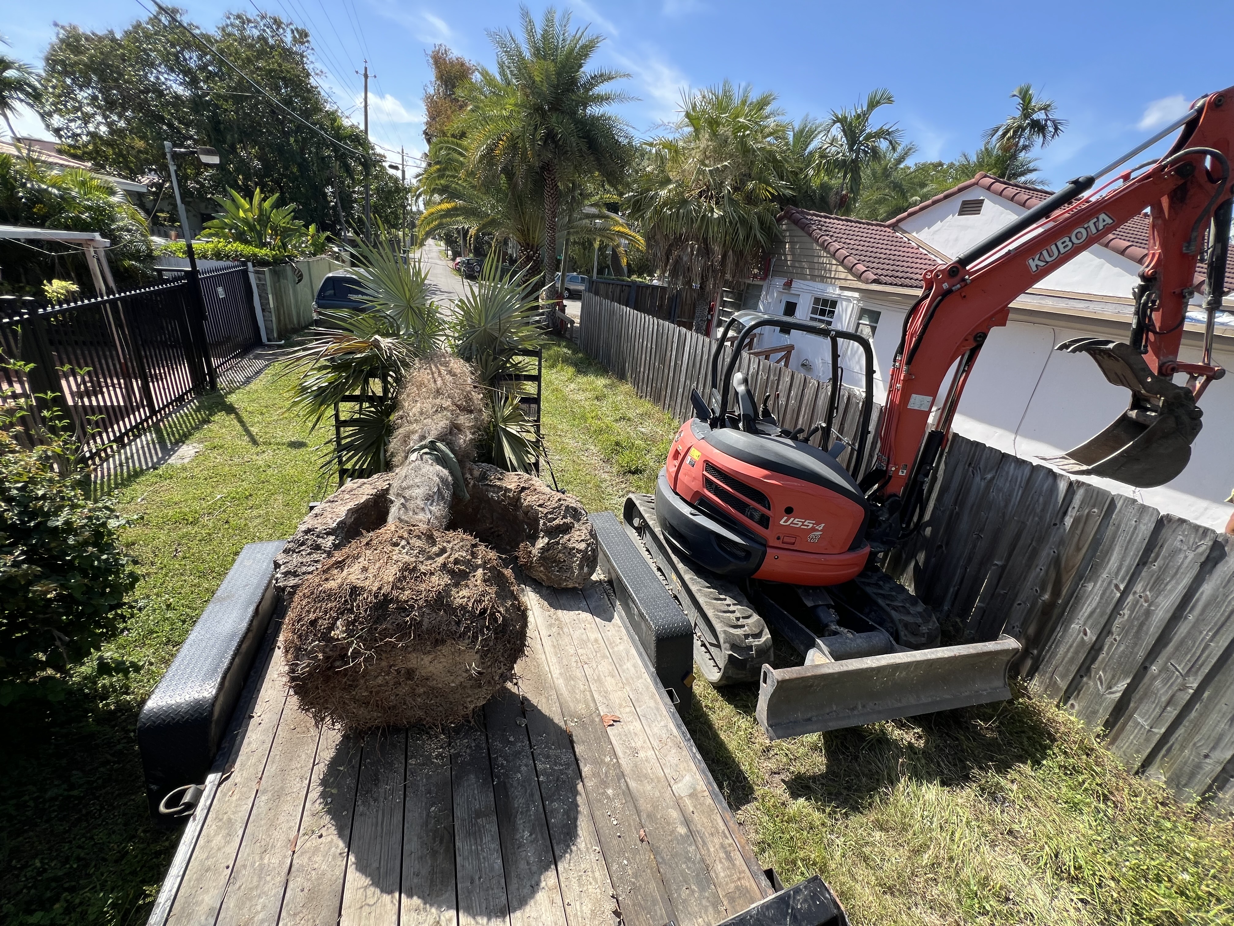 Stump Men Tree Service in Homestead