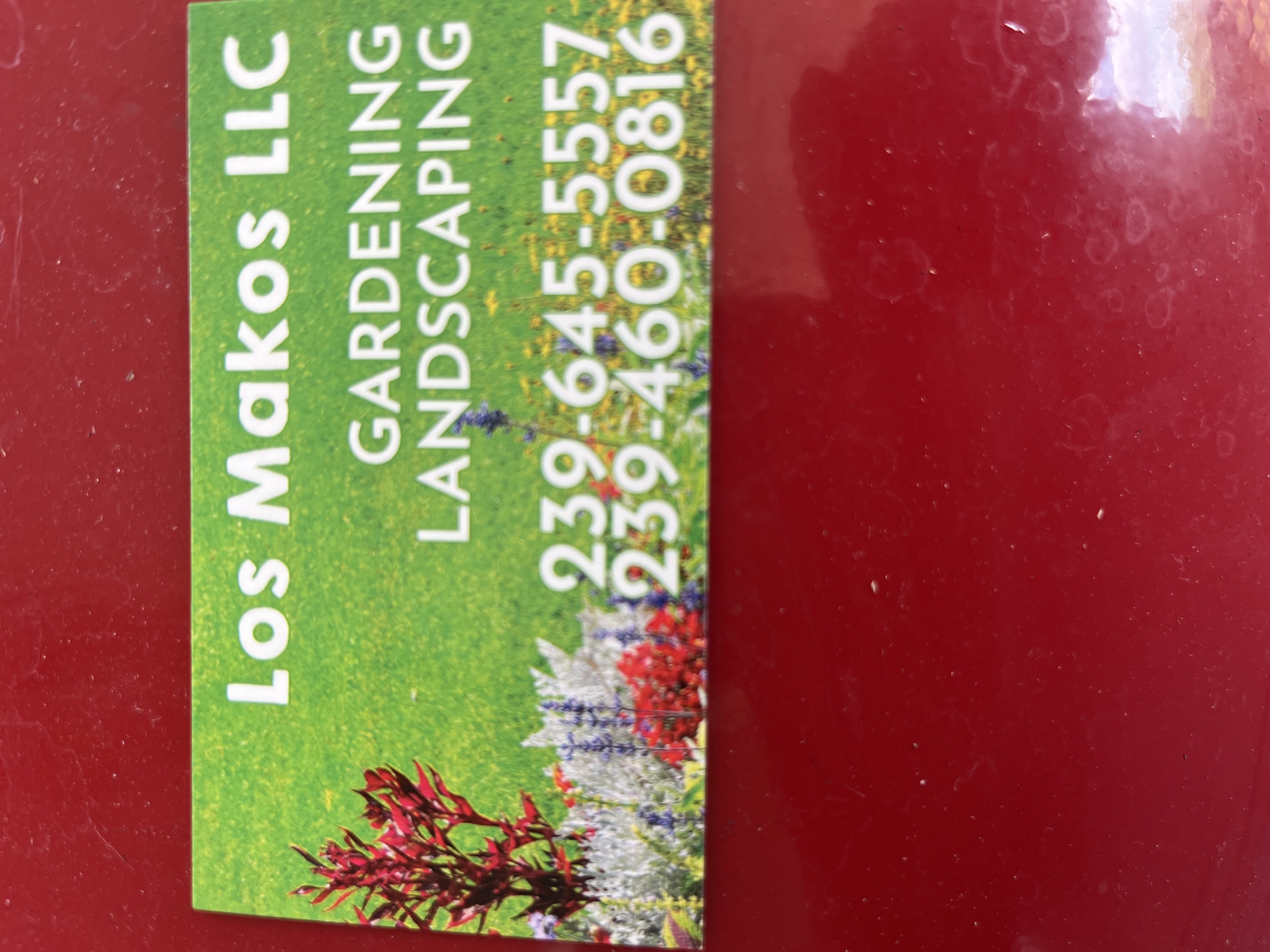 los makos llc in cape coral