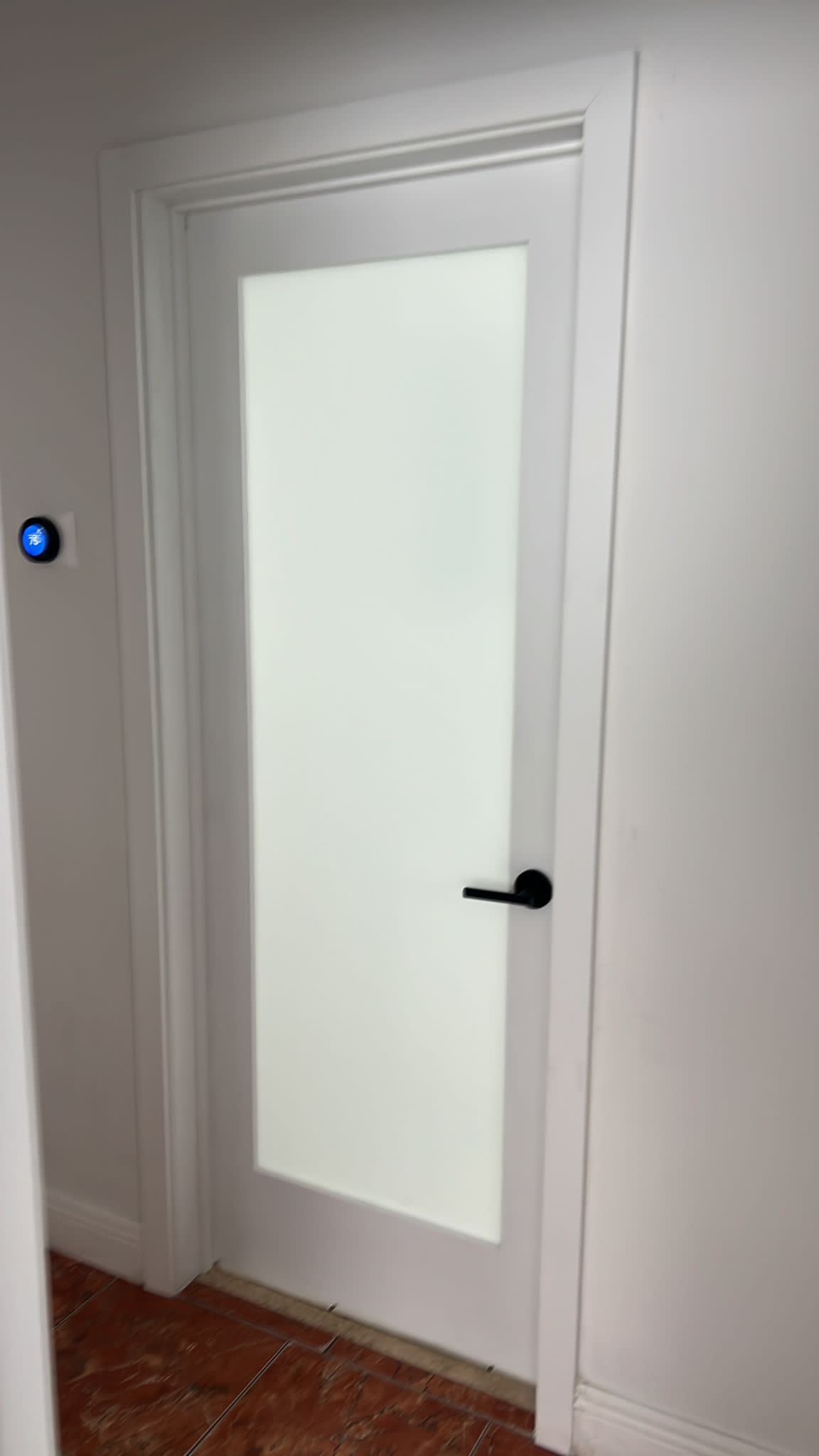 Future World Carpentry