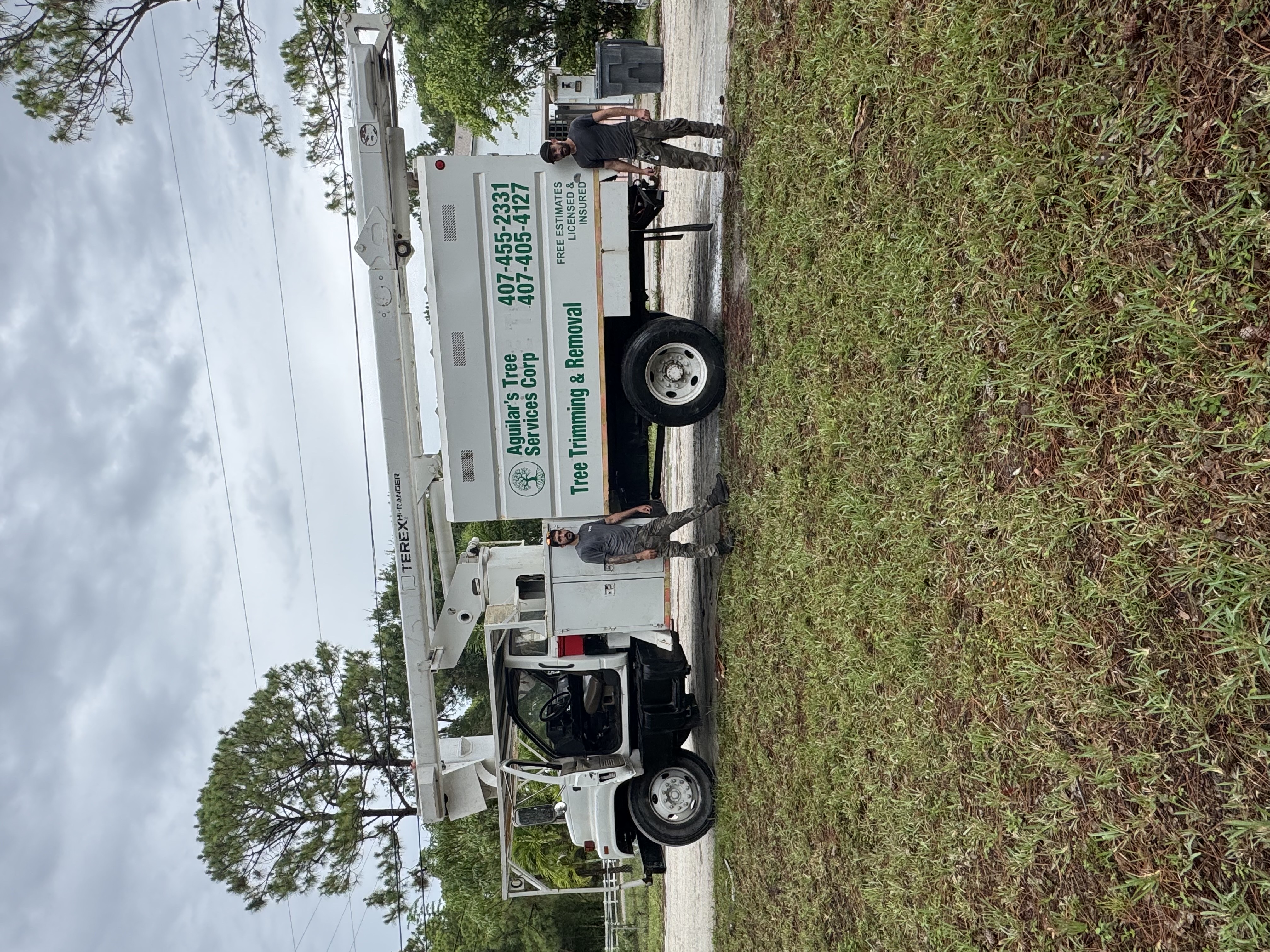 Aguilars tree service corp in west Palm Beach 
