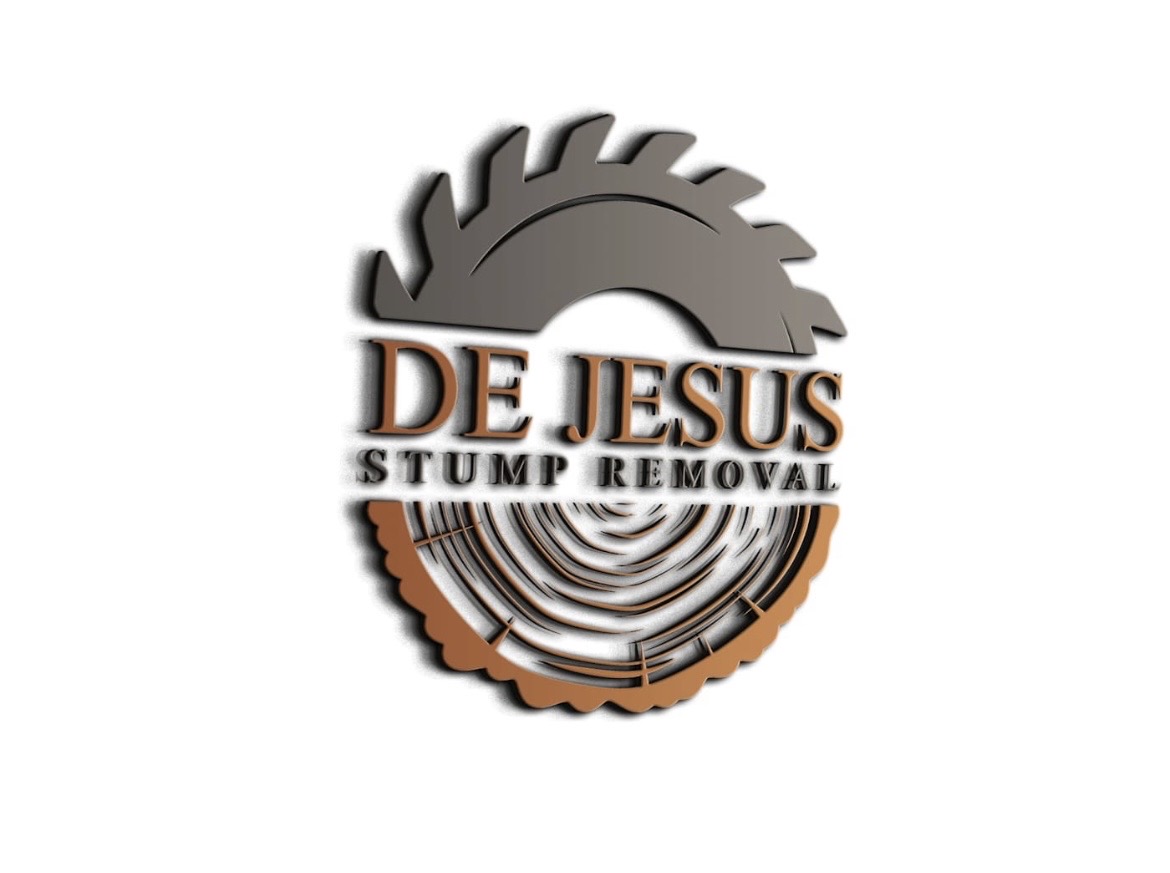 DeJesus Stump Removal in Miami