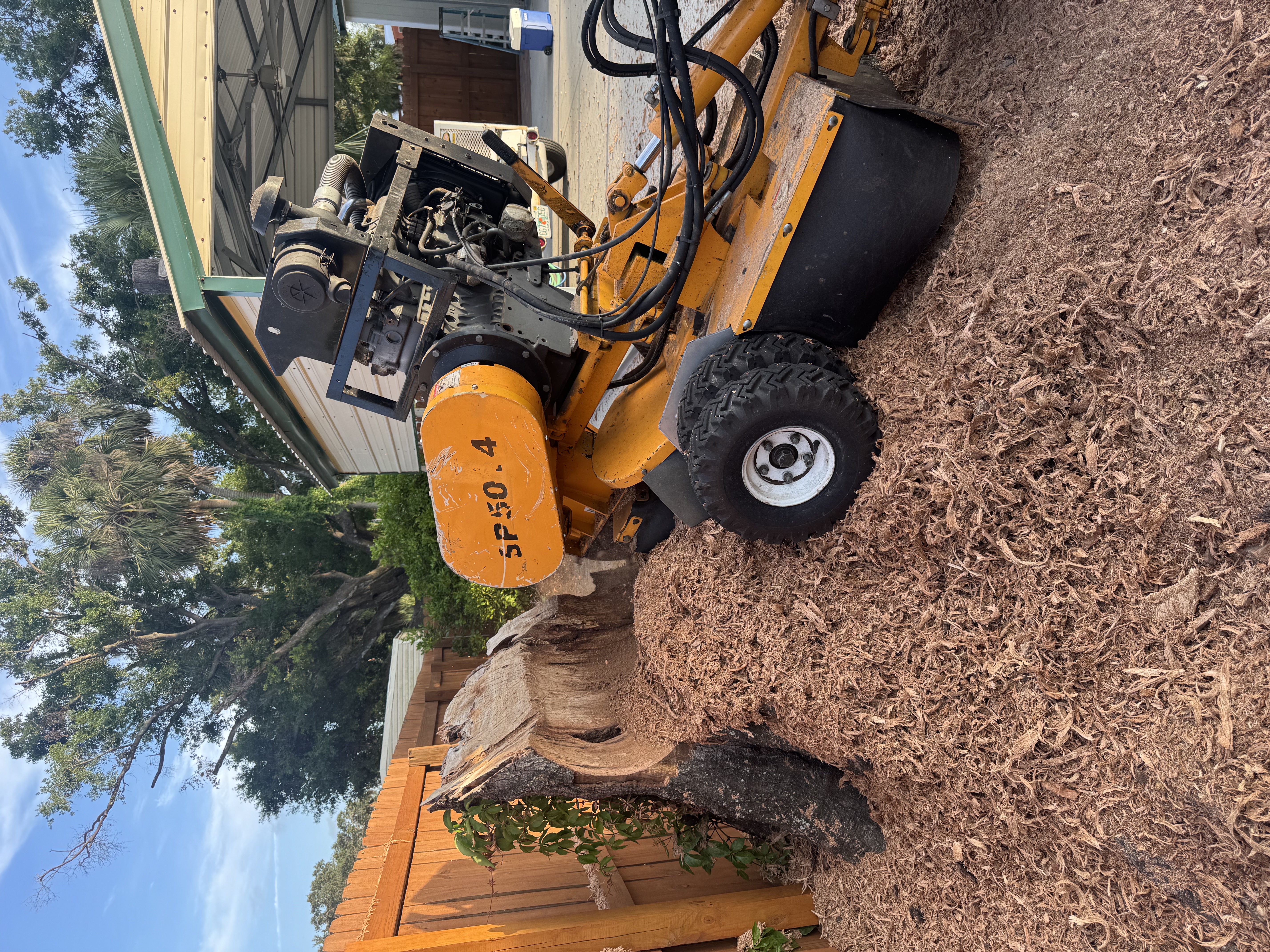 stump grinder  in tampa