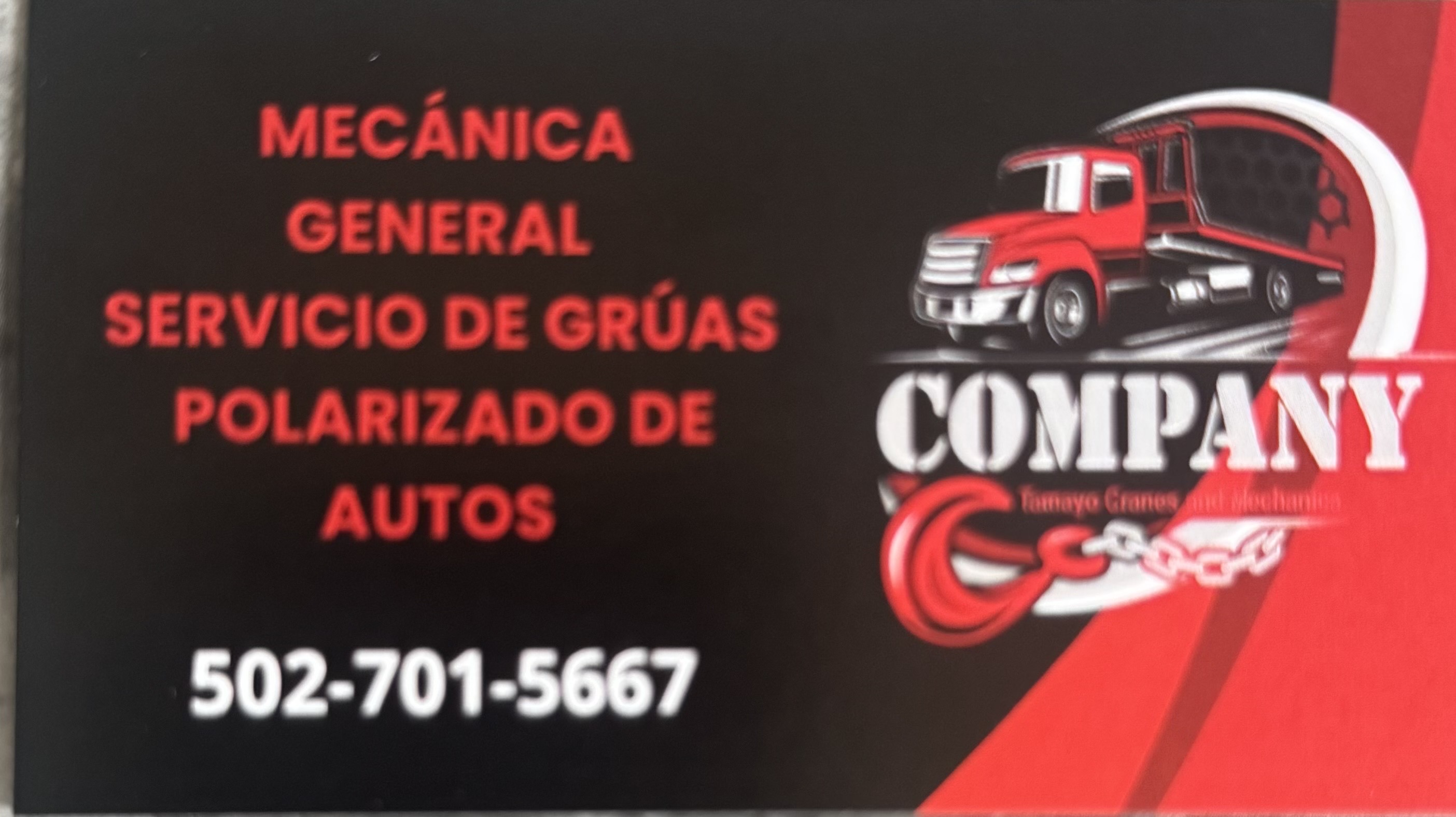 Tamayo Cranes and Mechanics