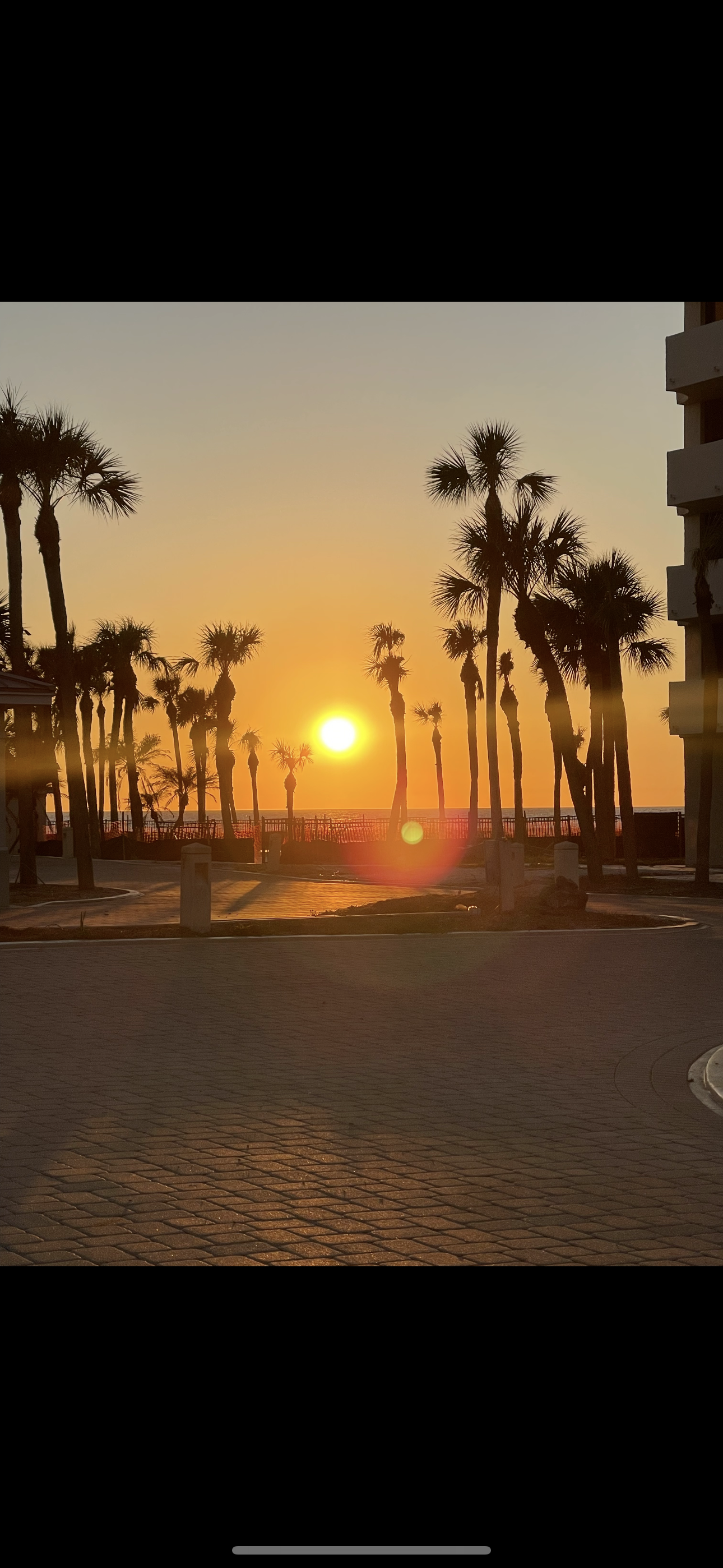 Naples Prestige Tree Service