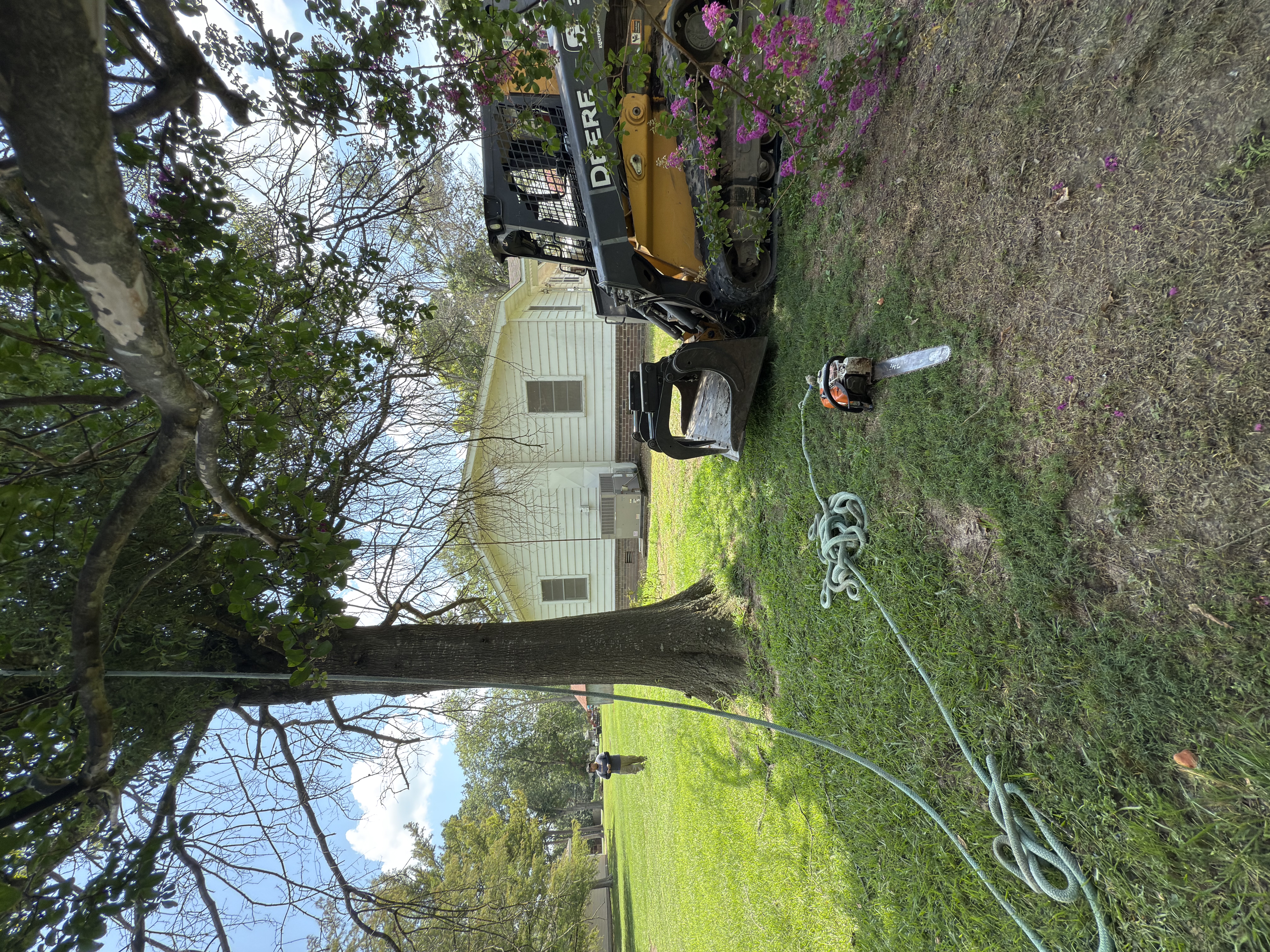 FIVE ROOTS TREE SERVICE in Warren