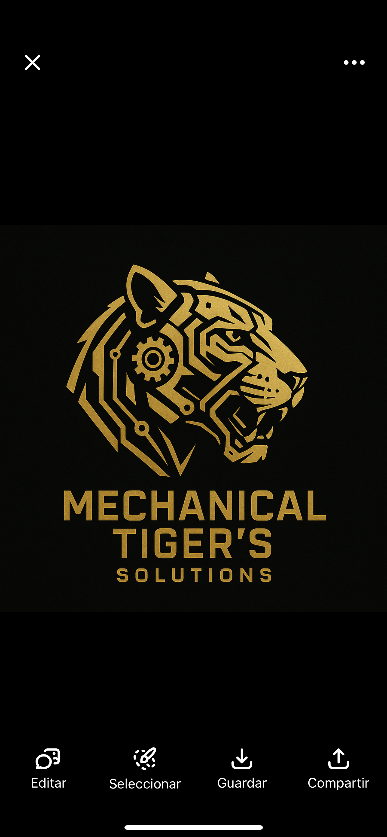 Mecanical tiger’s solution in Miami