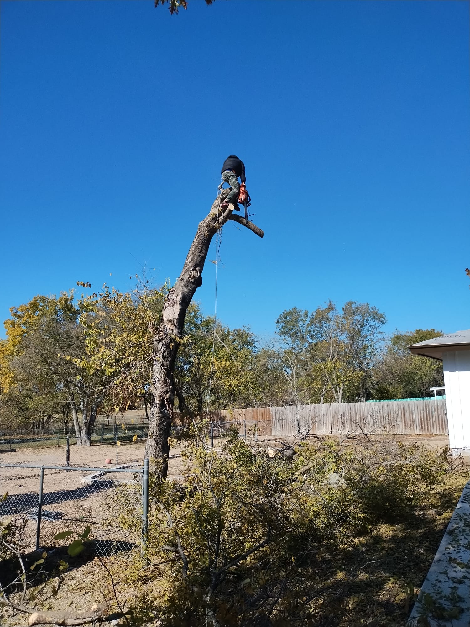 Image of trabajo in elgin
