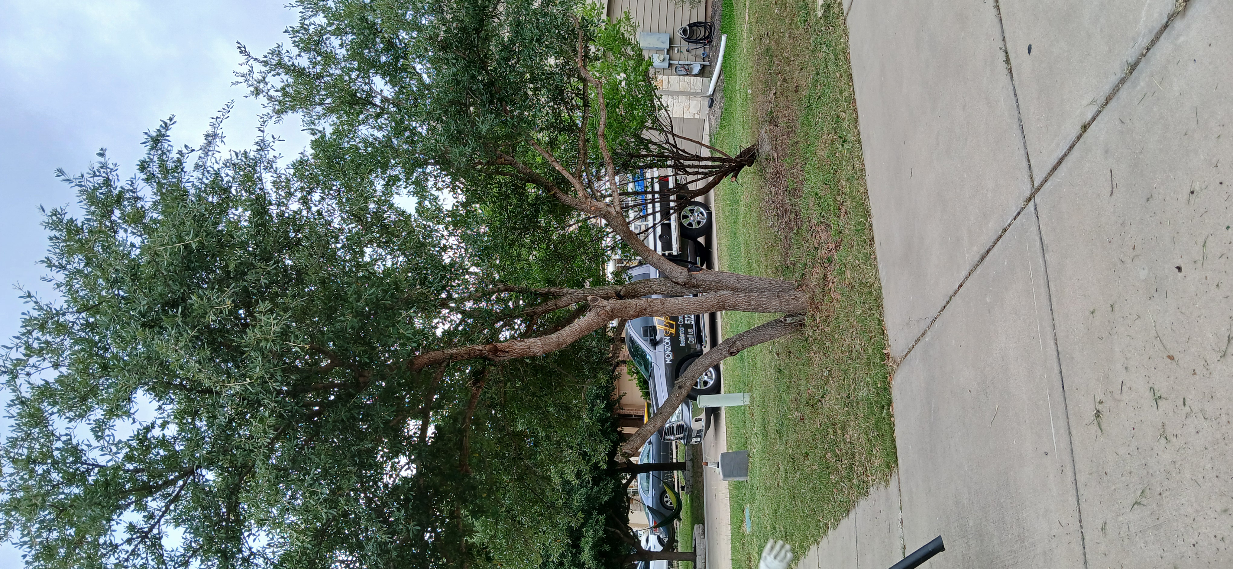 Image of trabajo in elgin