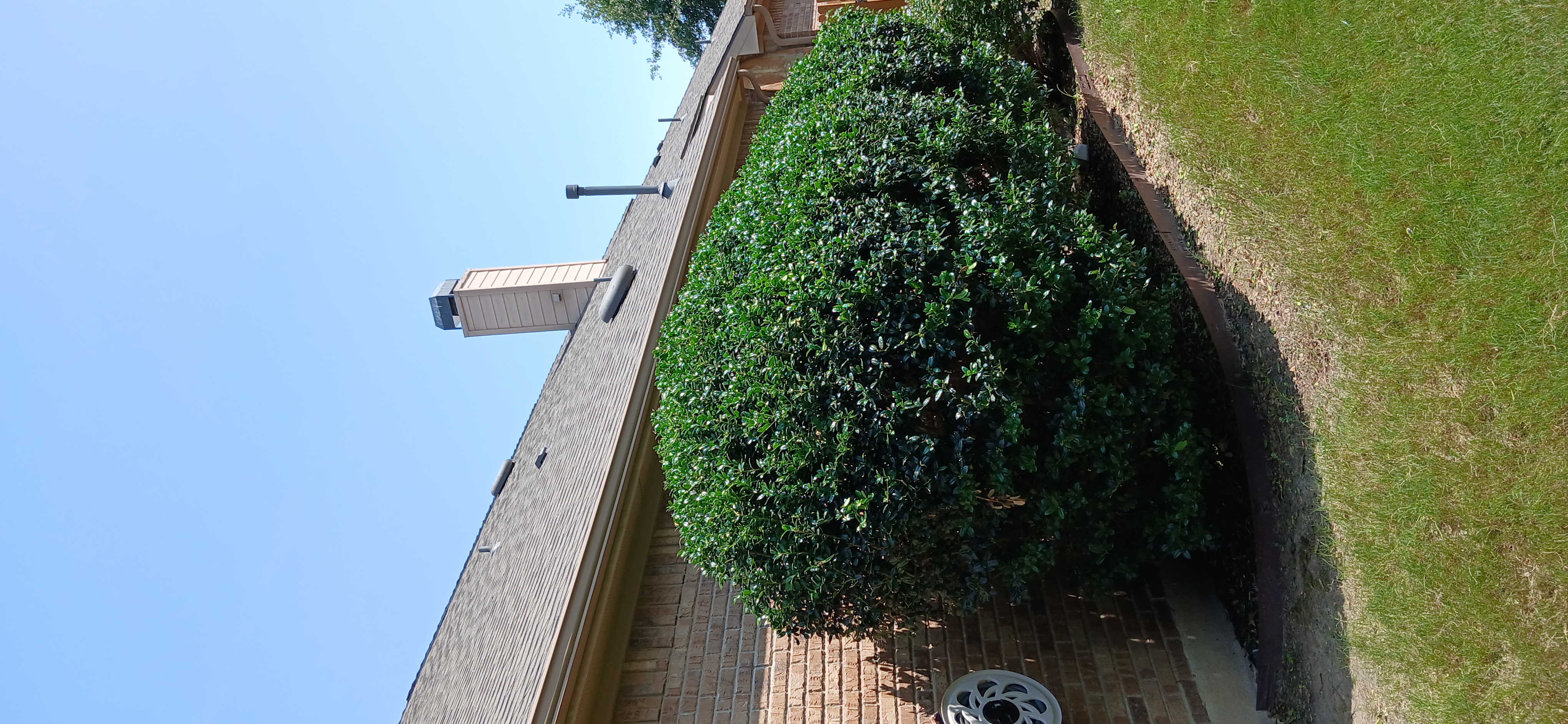 Image of trabajo in elgin