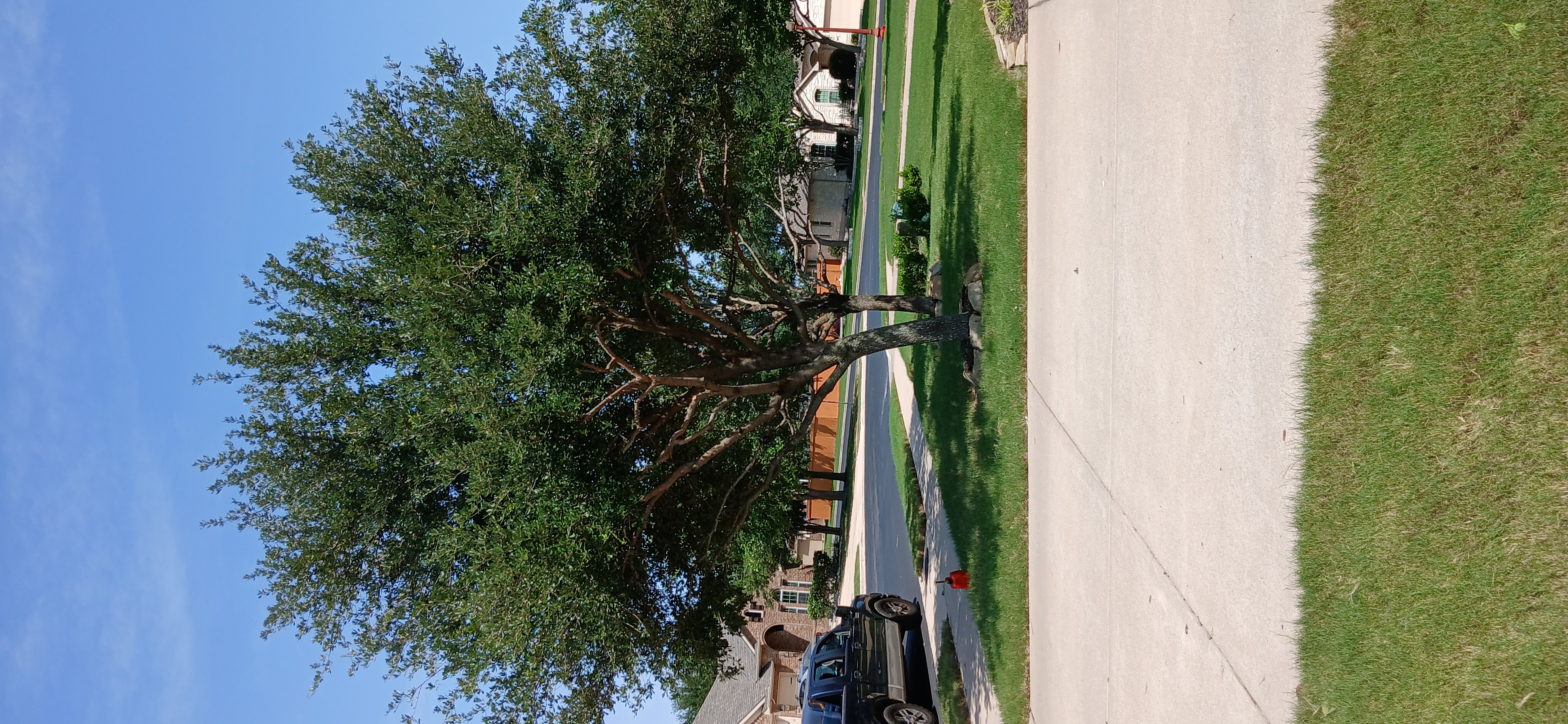 Image of trabajo in elgin