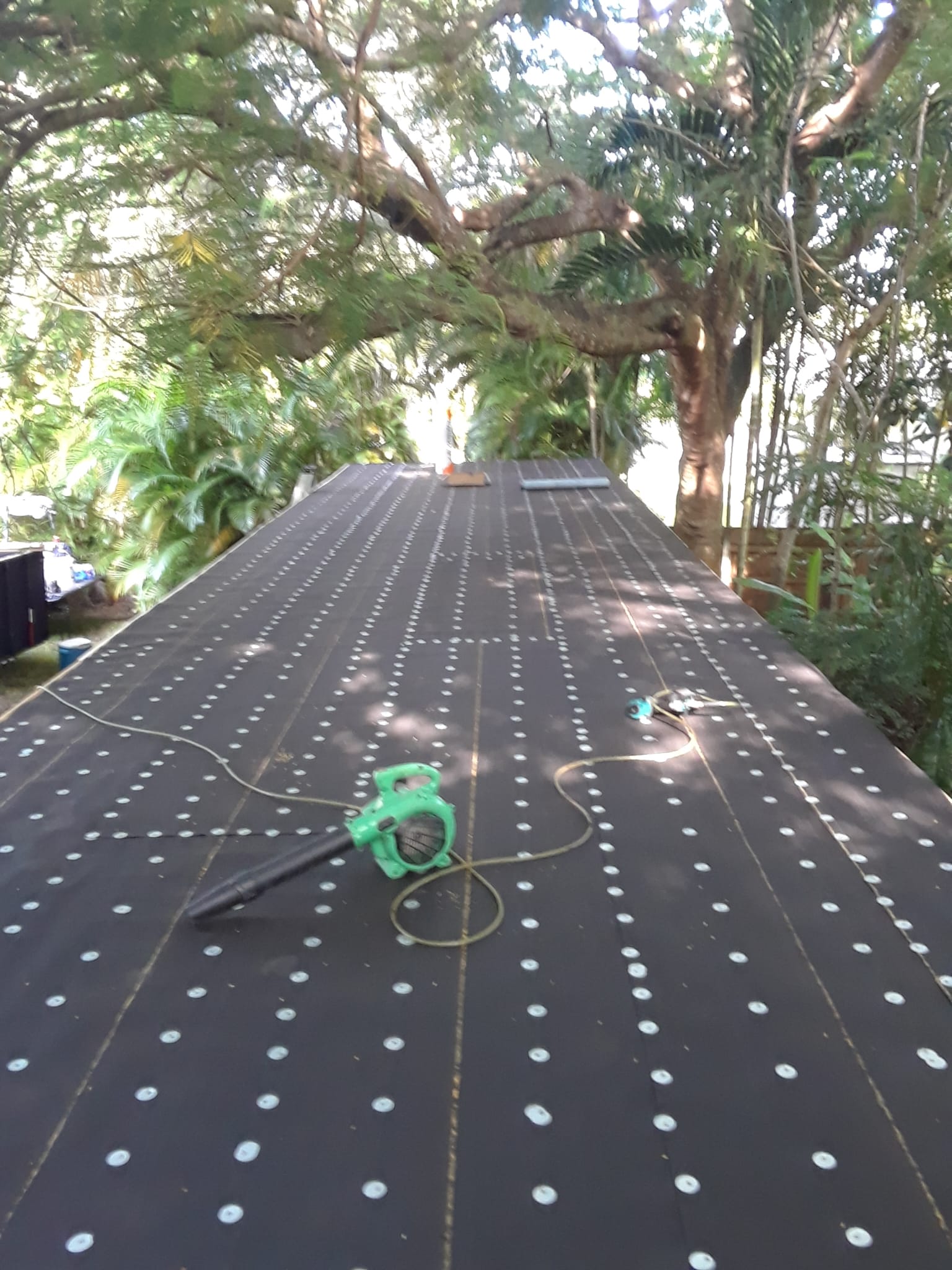 Image of Todo sobre roofin in Miami
