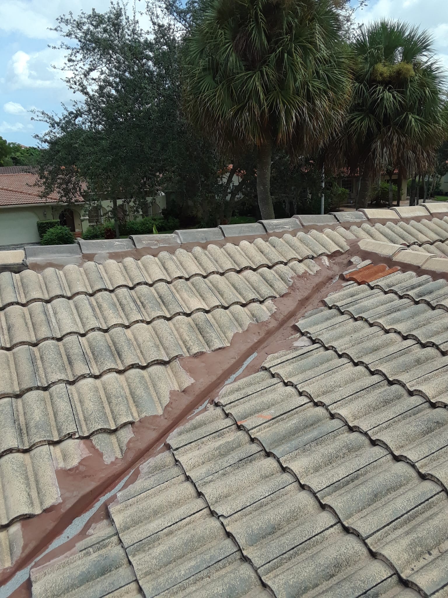 Image of Todo sobre roofin in Miami