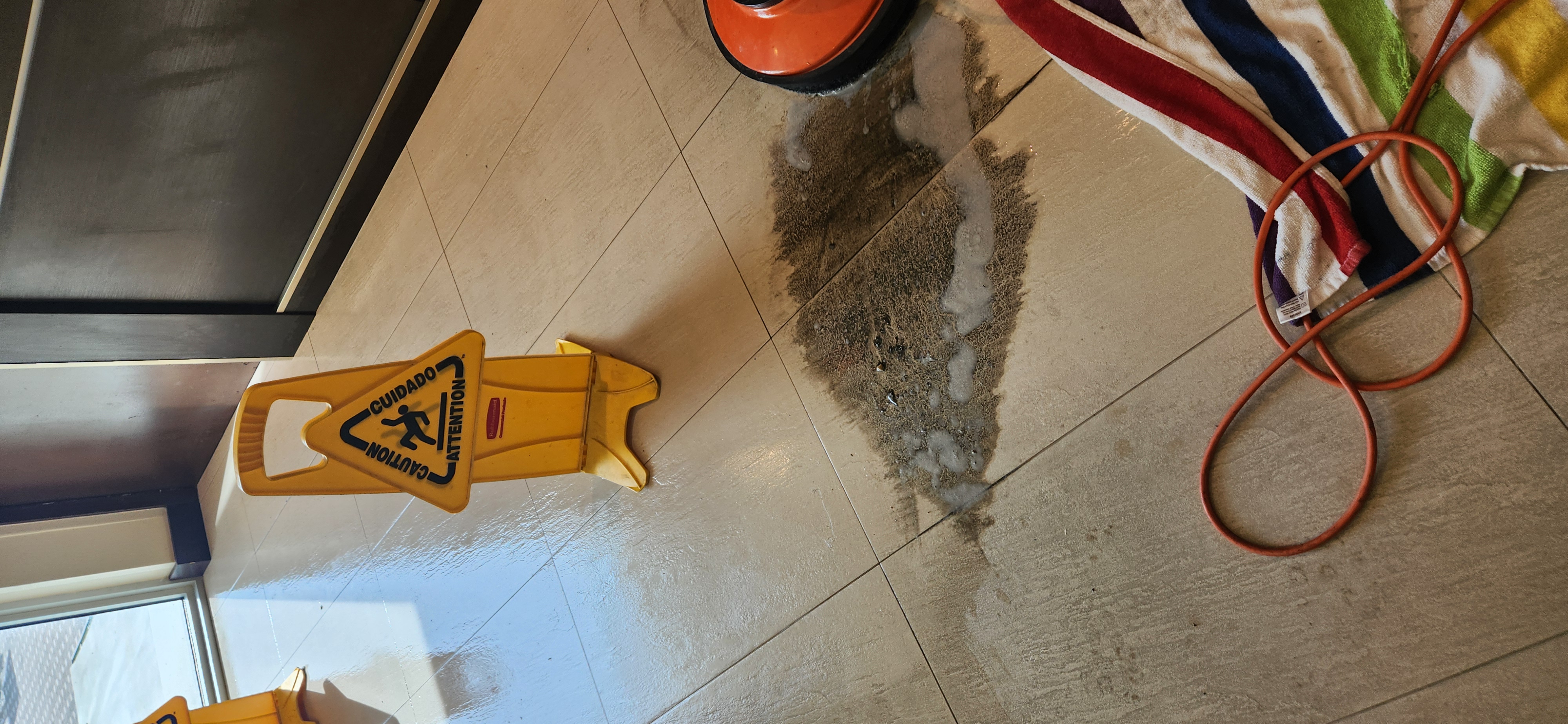 Image of Limpieza de alfombras y pisos in Miami