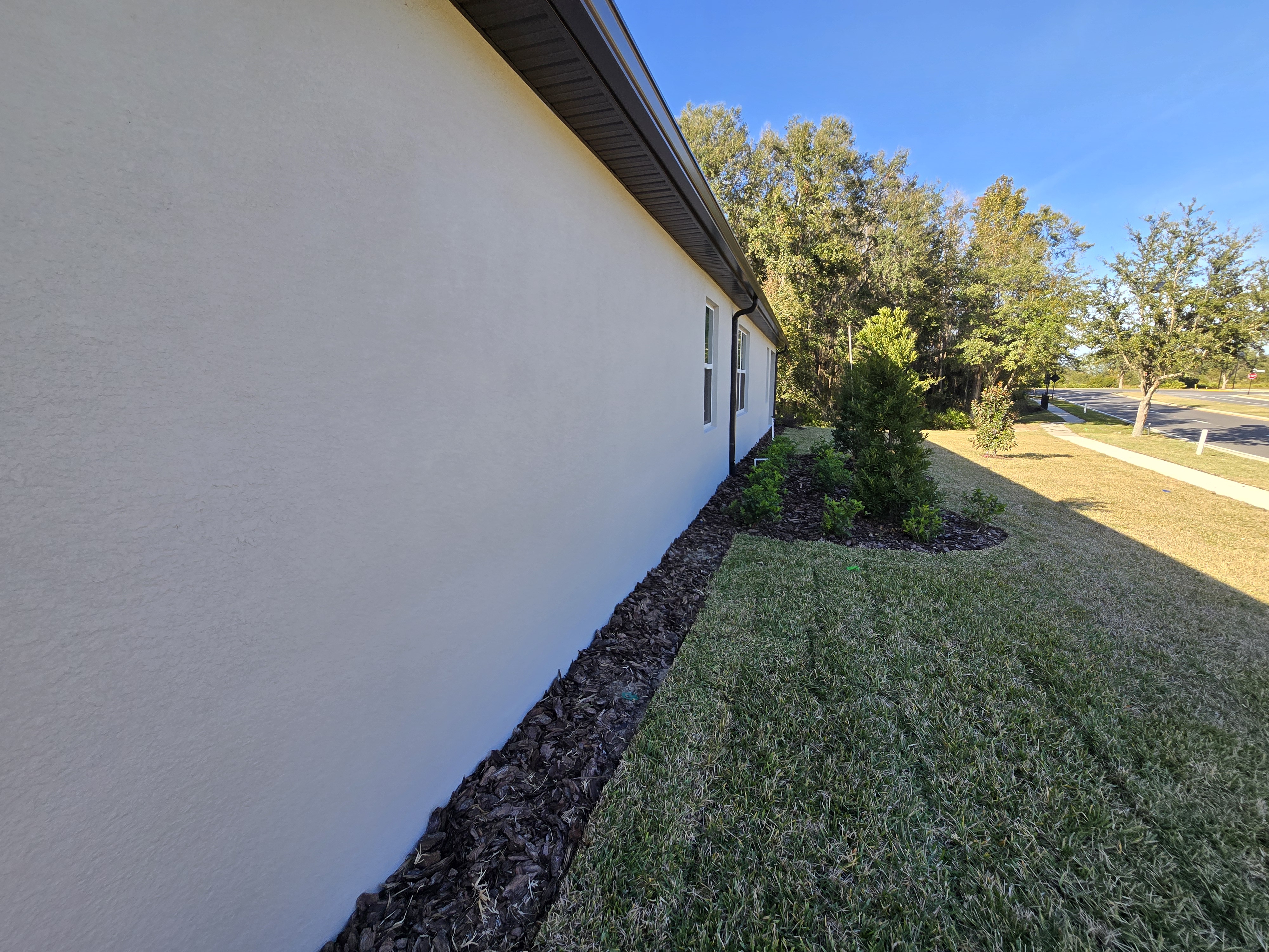 Image of Green Work Design & More in Tampa