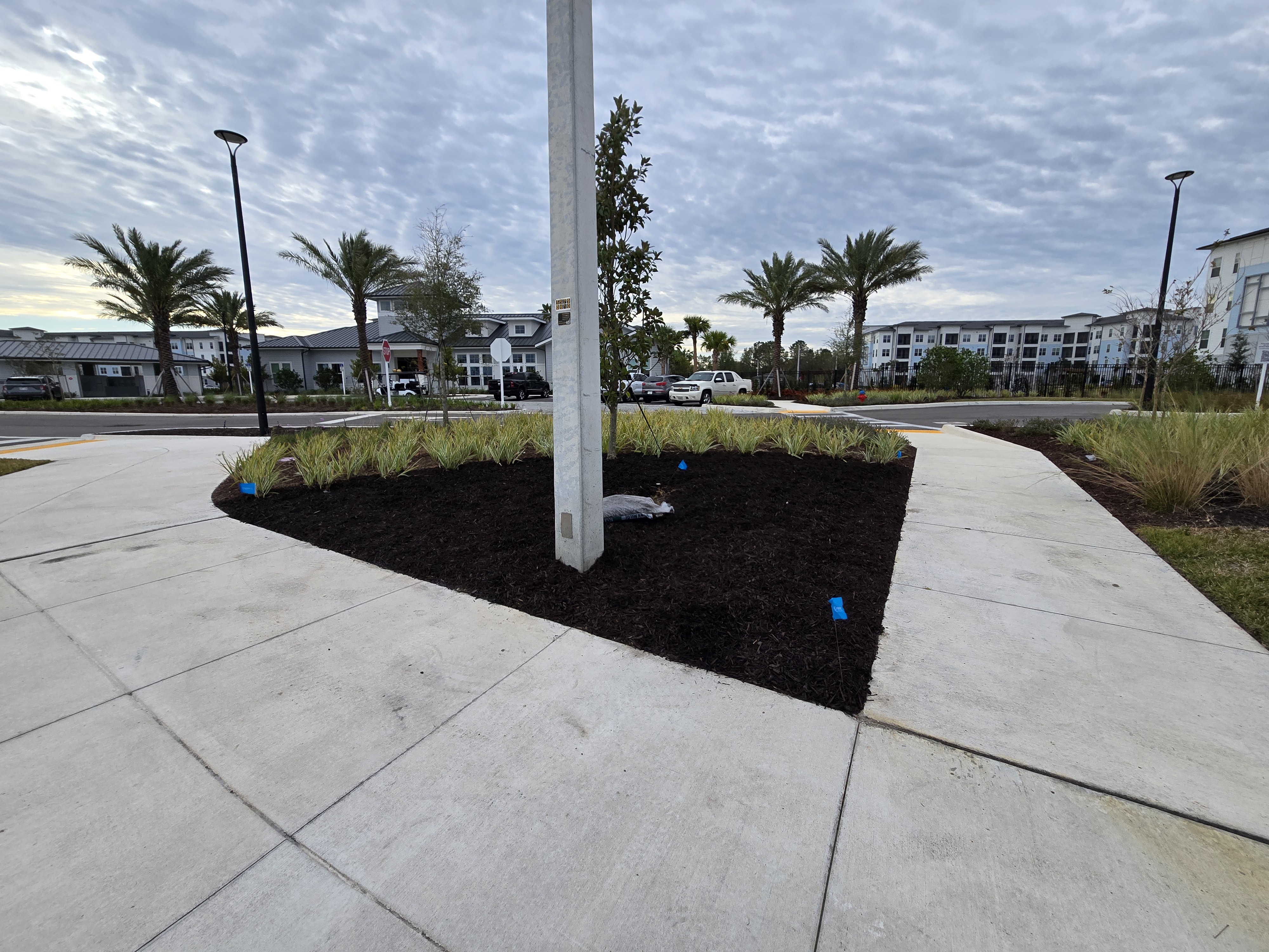 Image of Green Work Design & More in Tampa