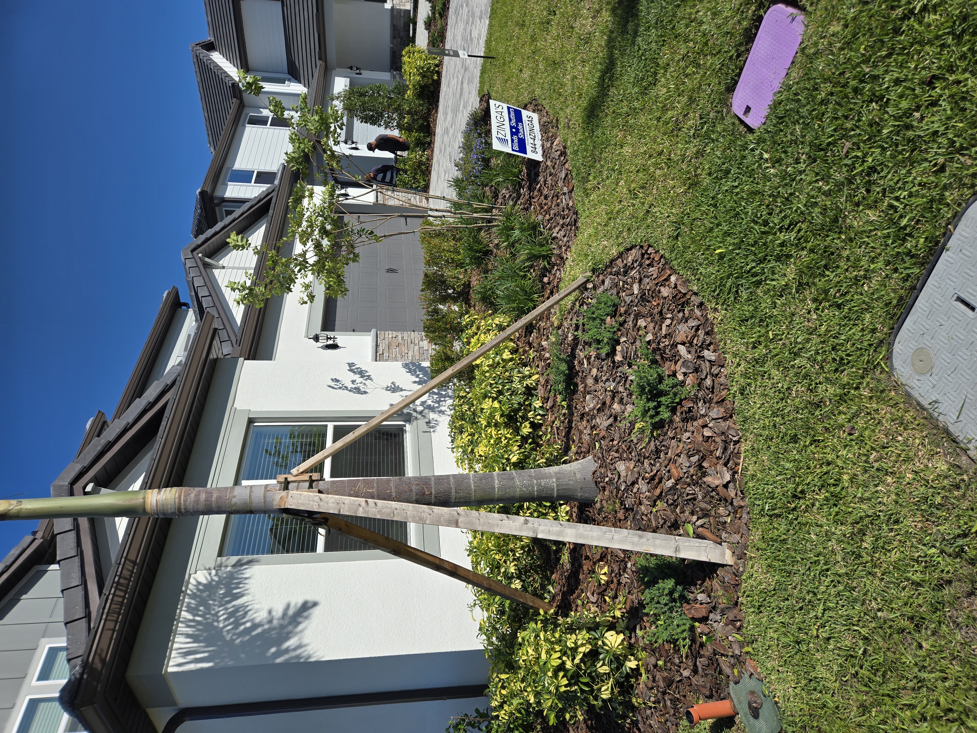 Image of Green Work Design & More in Tampa