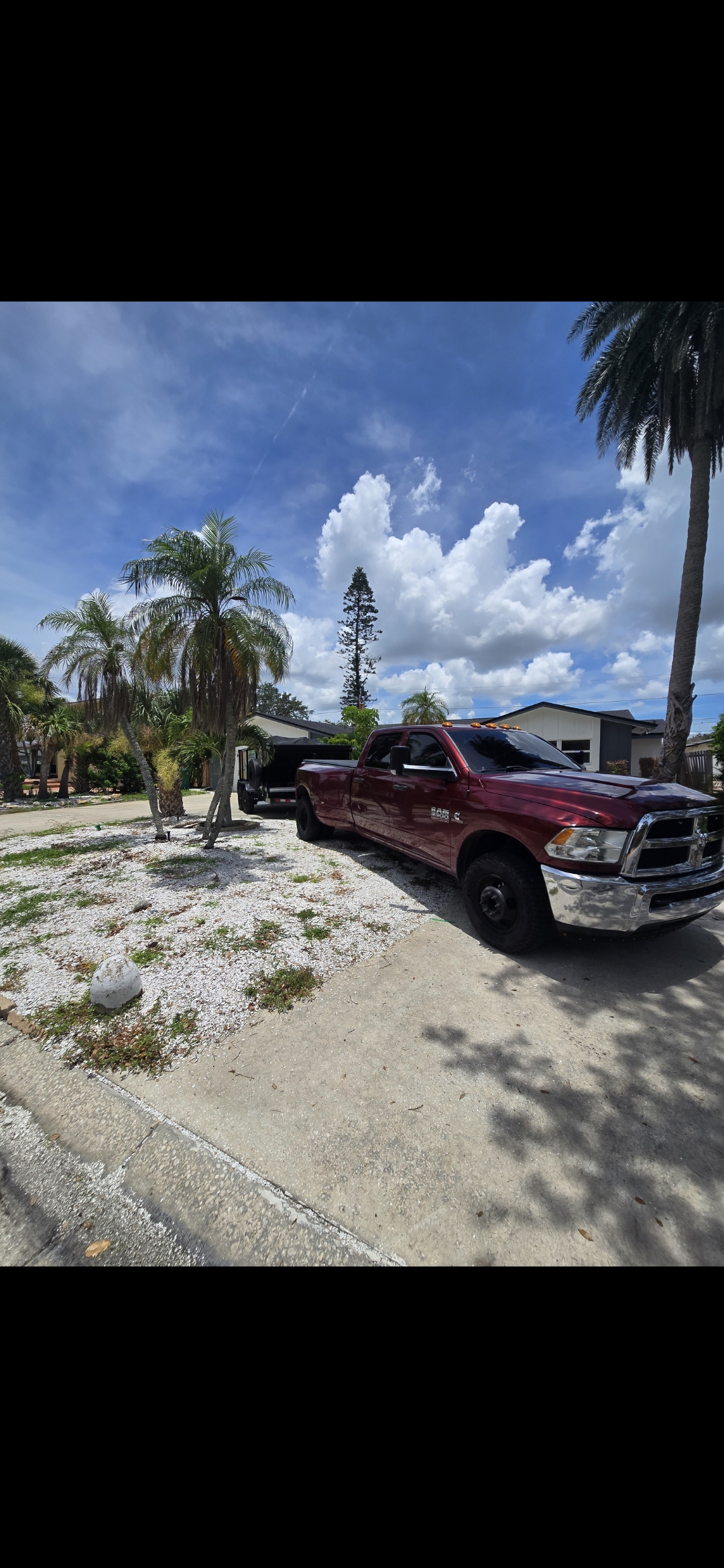 Image of Green Work Design & More in Tampa