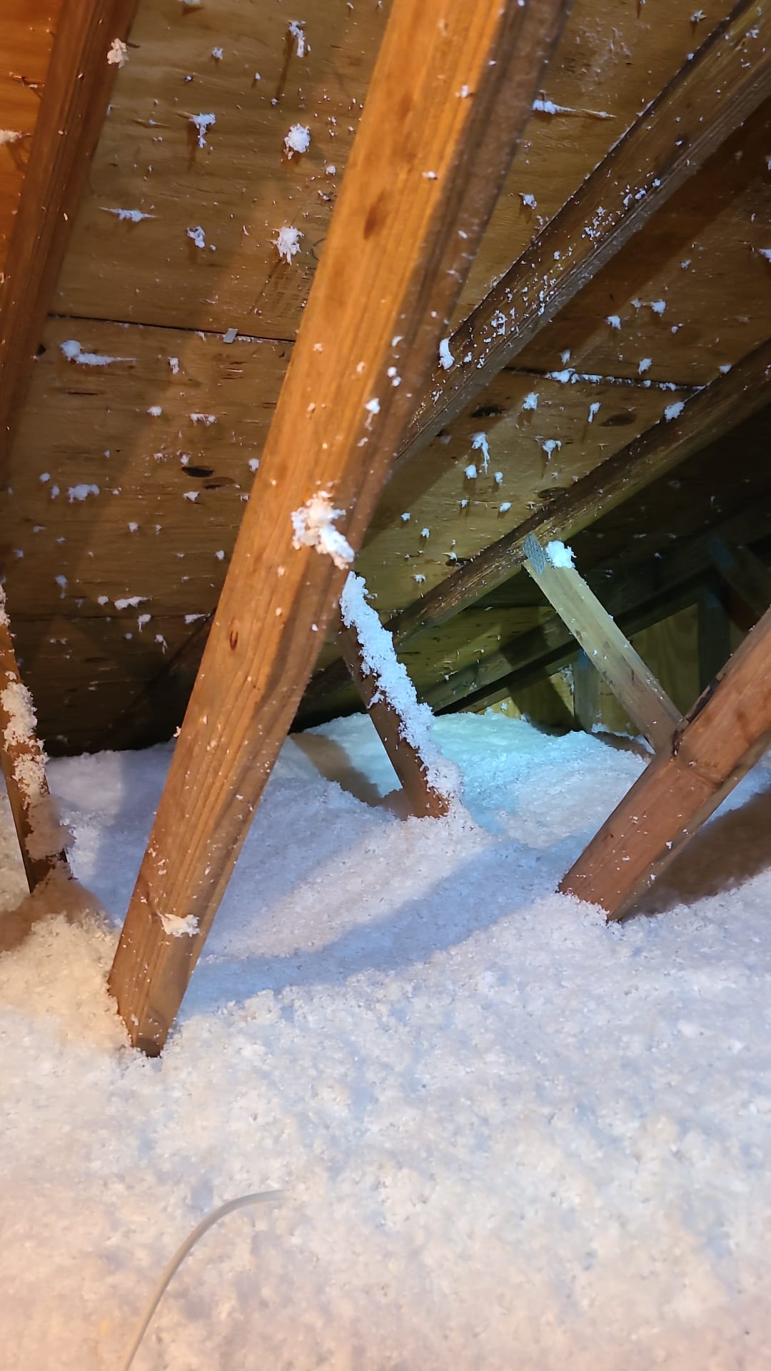 Image of Insulation in Tampa