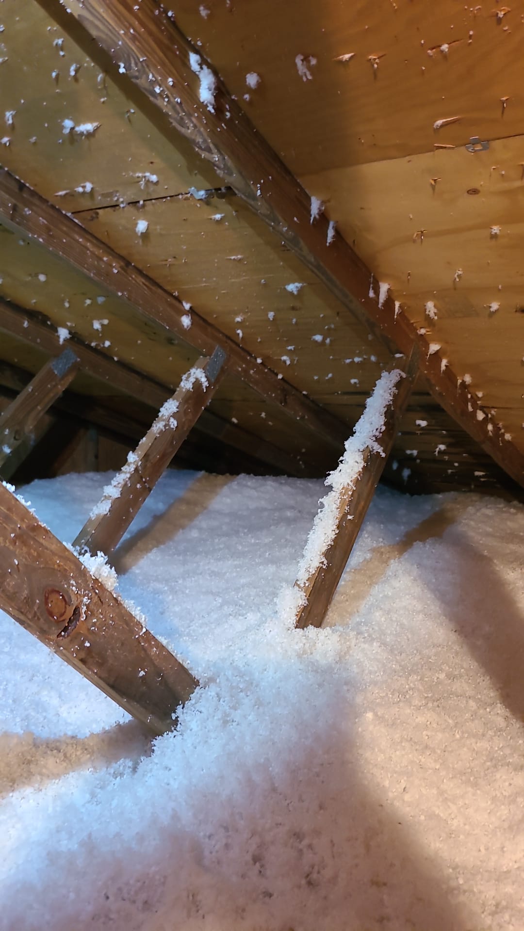 Image of Insulation in Tampa