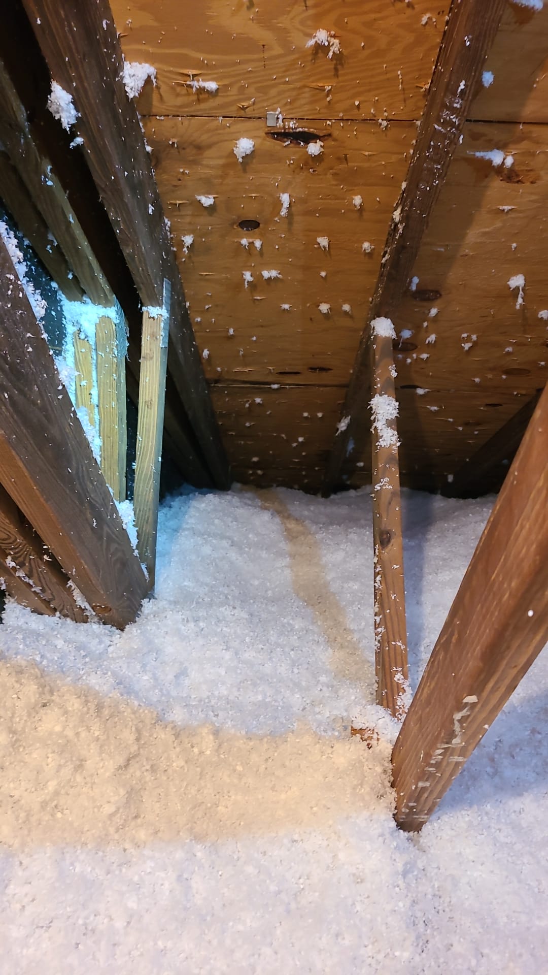 Image of Insulation in Tampa