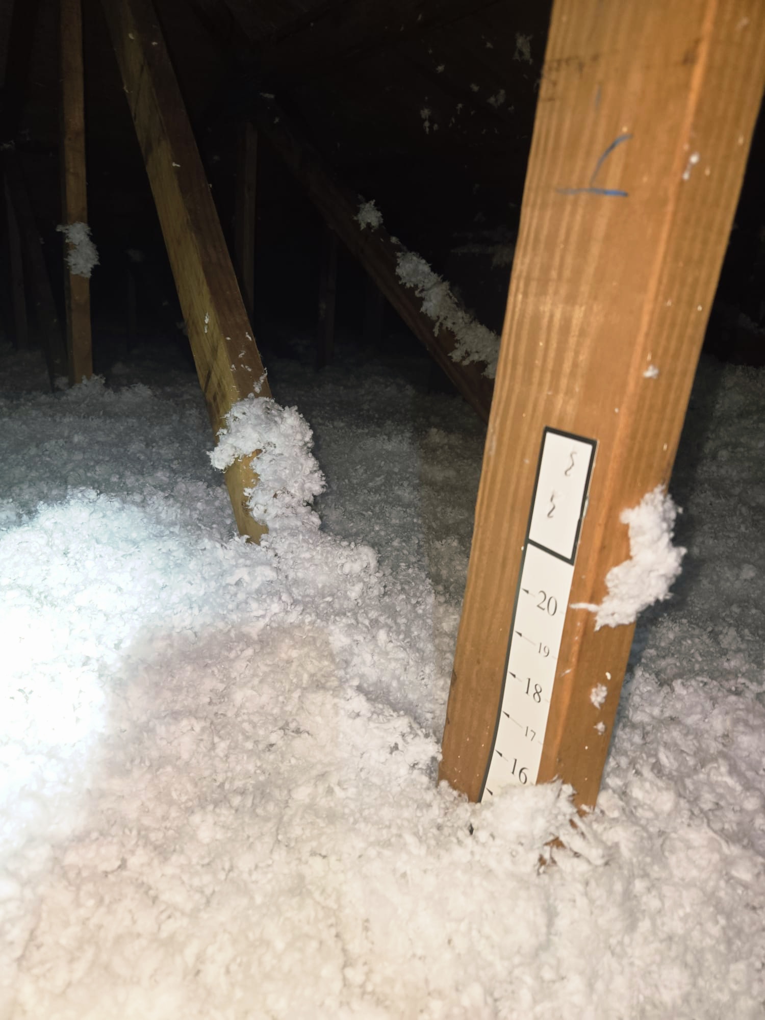 Image of Insulation in Tampa