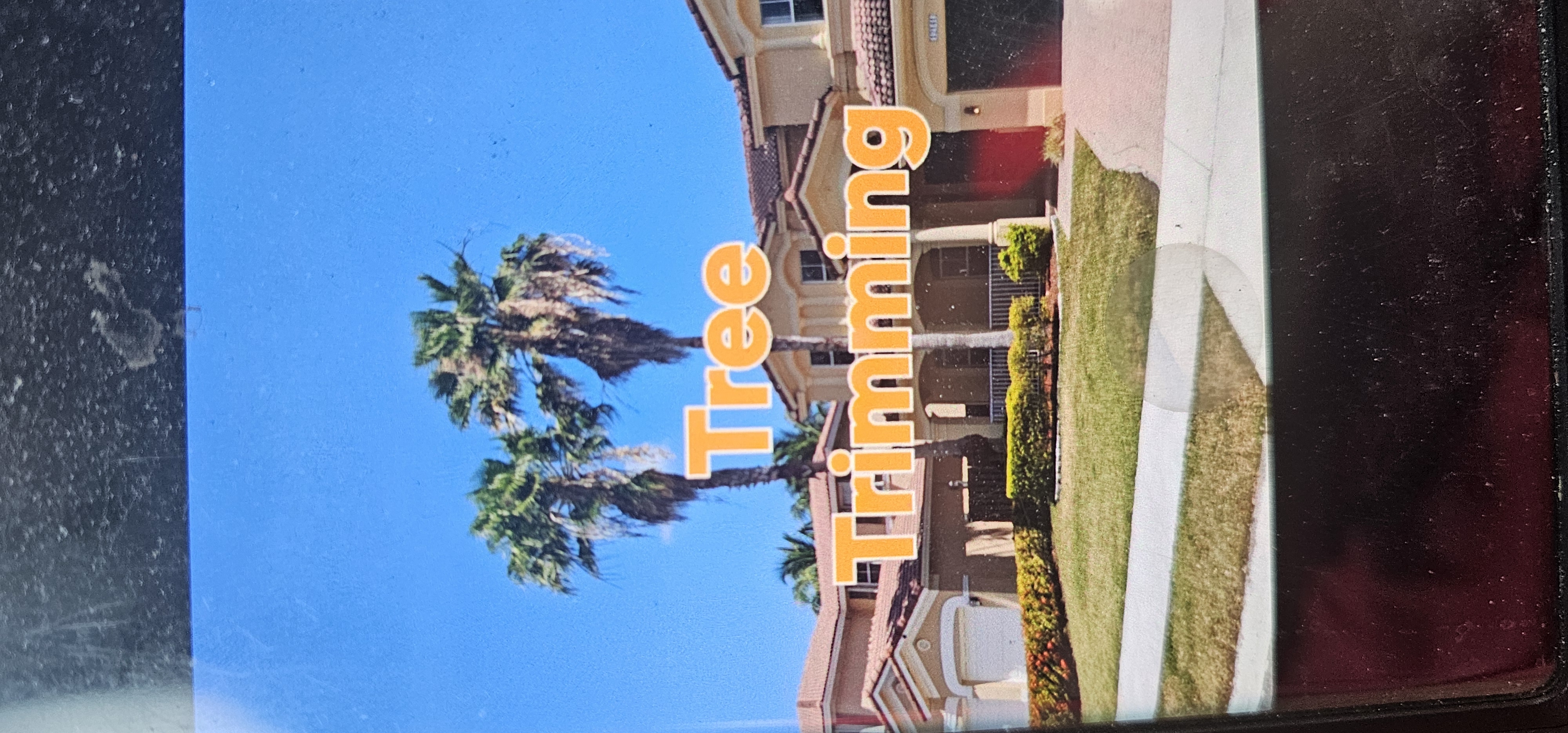 Image of tree trimming. in Miami