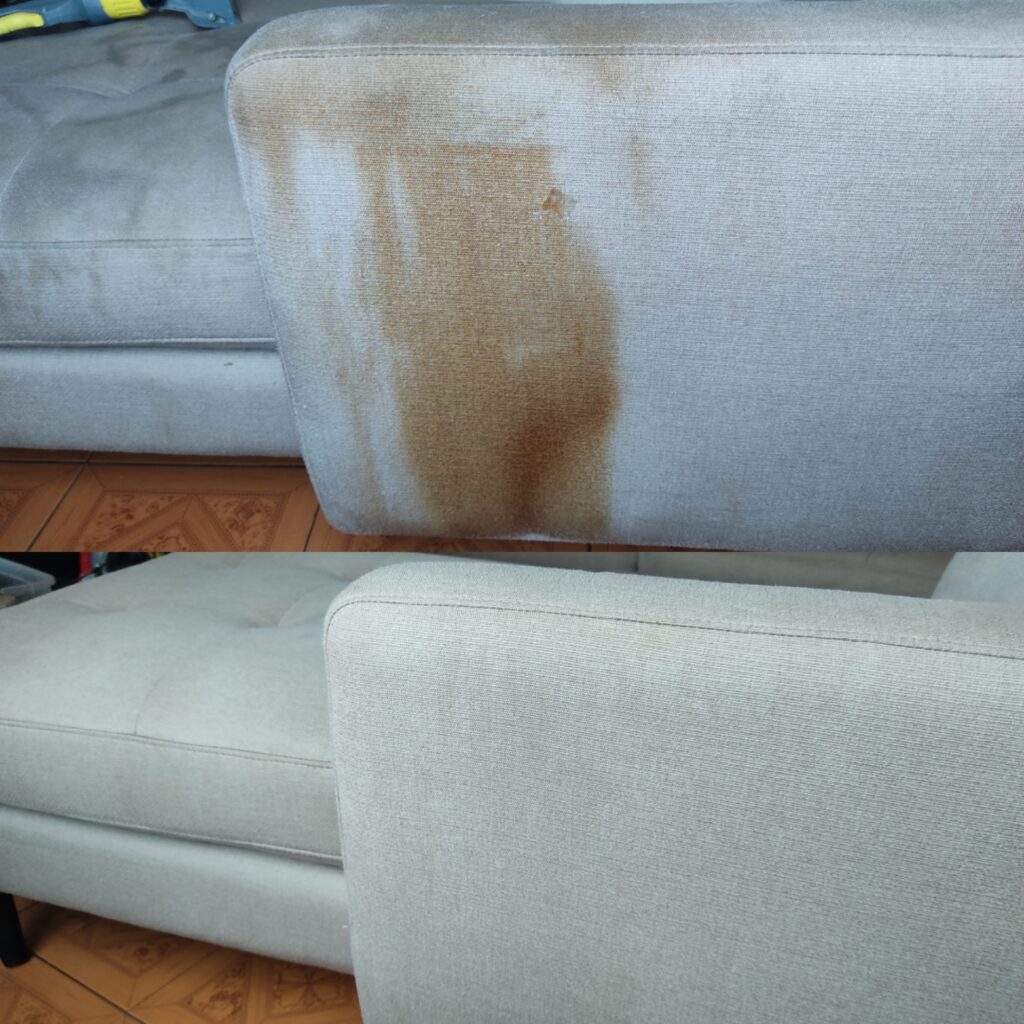 Image of Carpet and Upholstery Cleaning with Steam Technology in East boston
