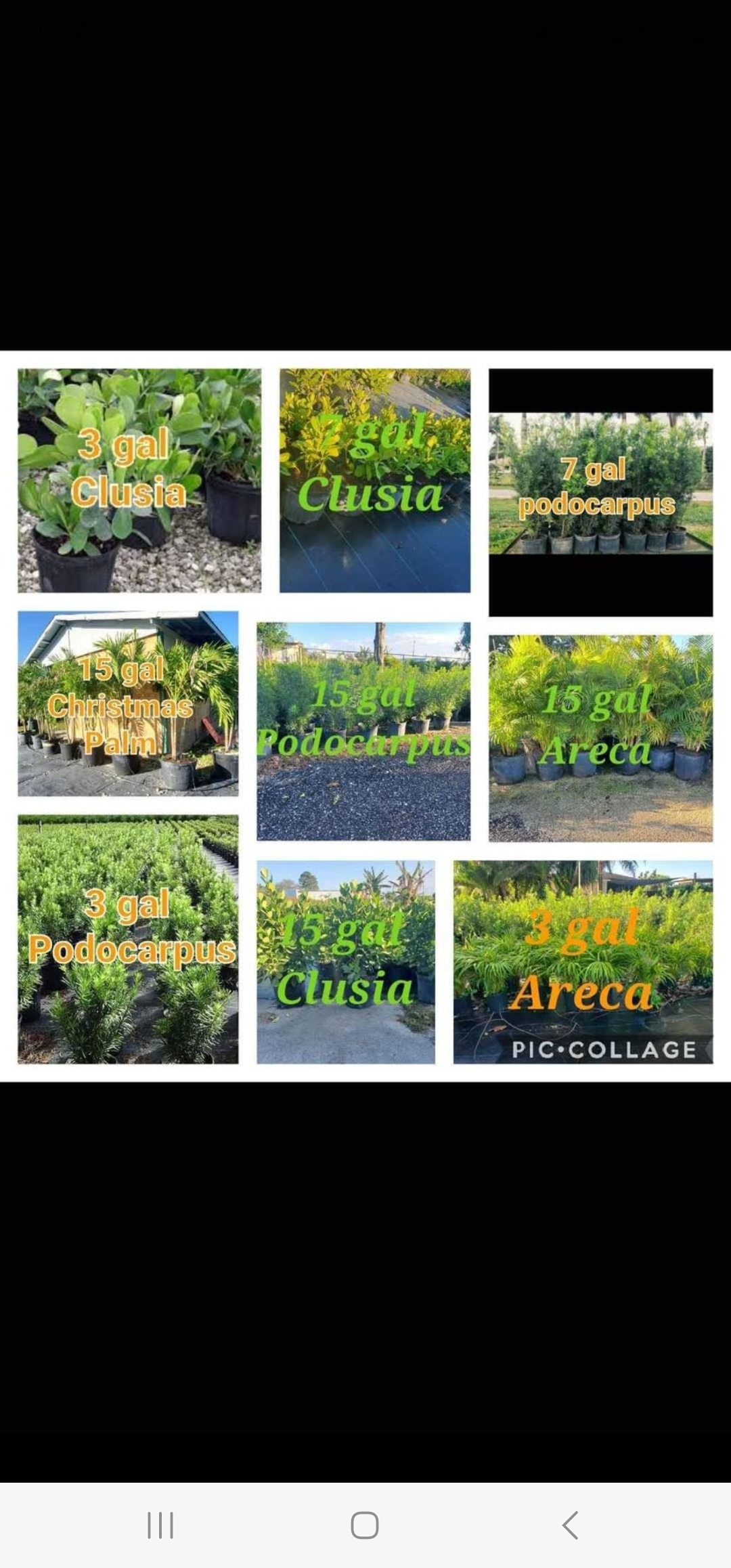 Image of lawn mowing landscaping jardineria in Miami