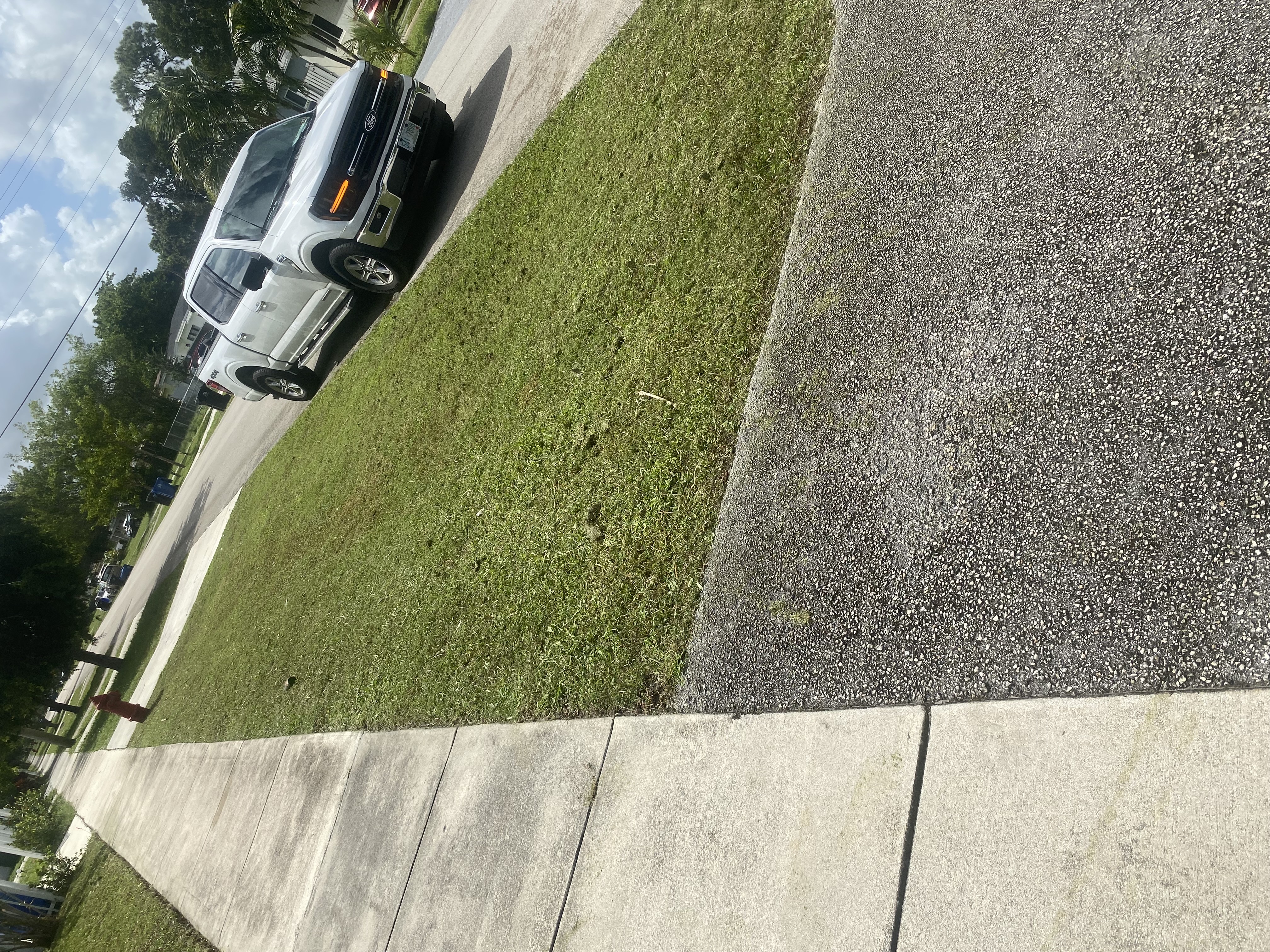 Image of EverLux Landscaping in Fort Lauderdale