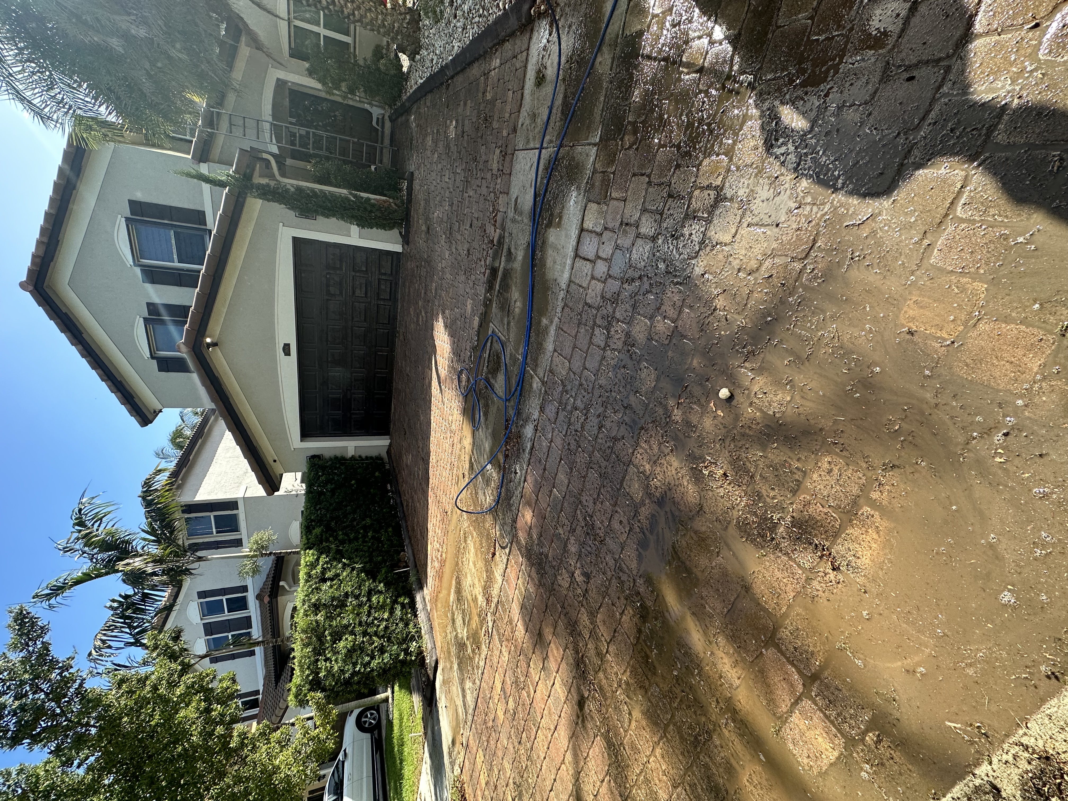 Image of roof softwashing in homestead