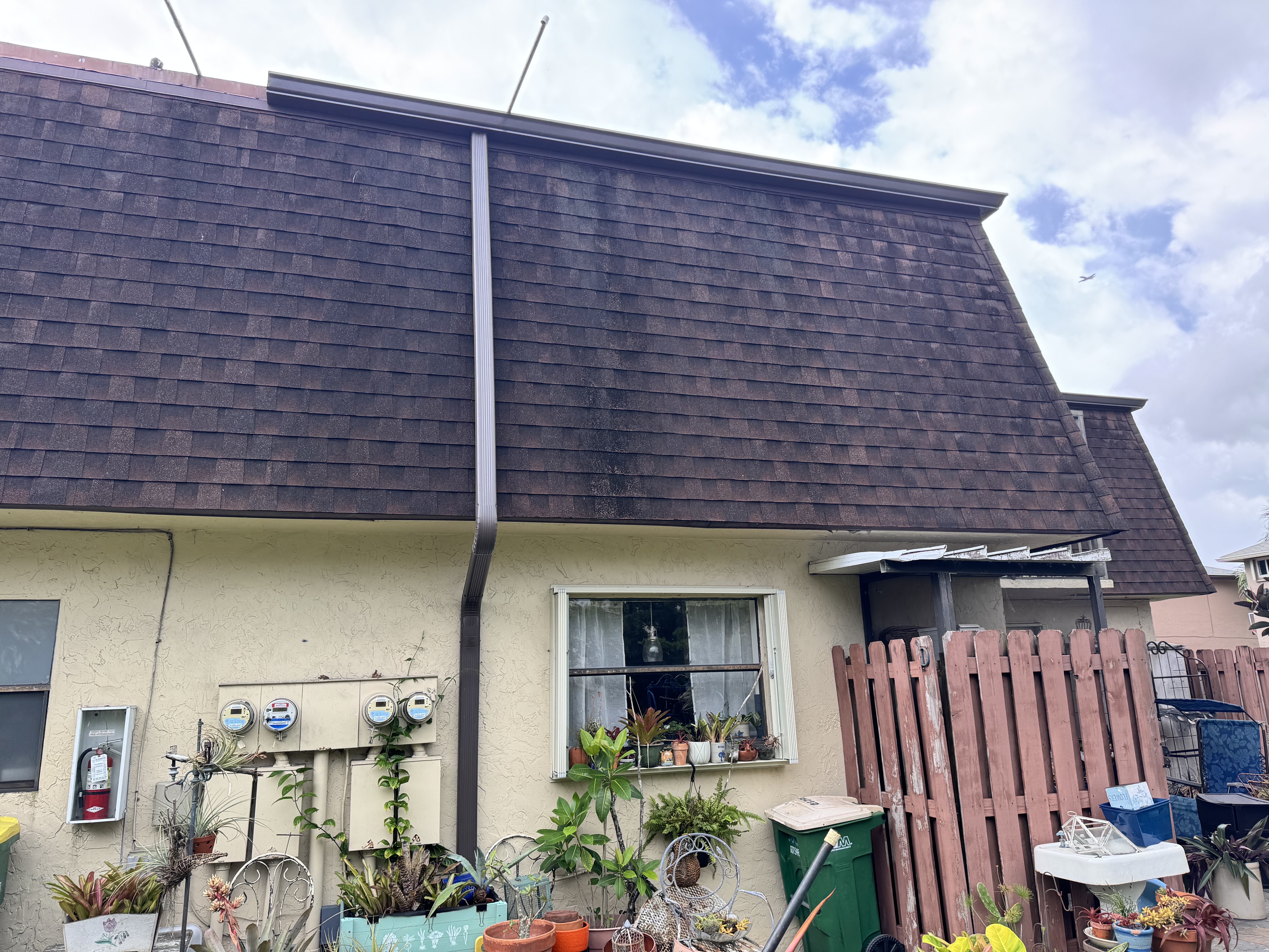 Image of Gutters Rodríguez  in Miami