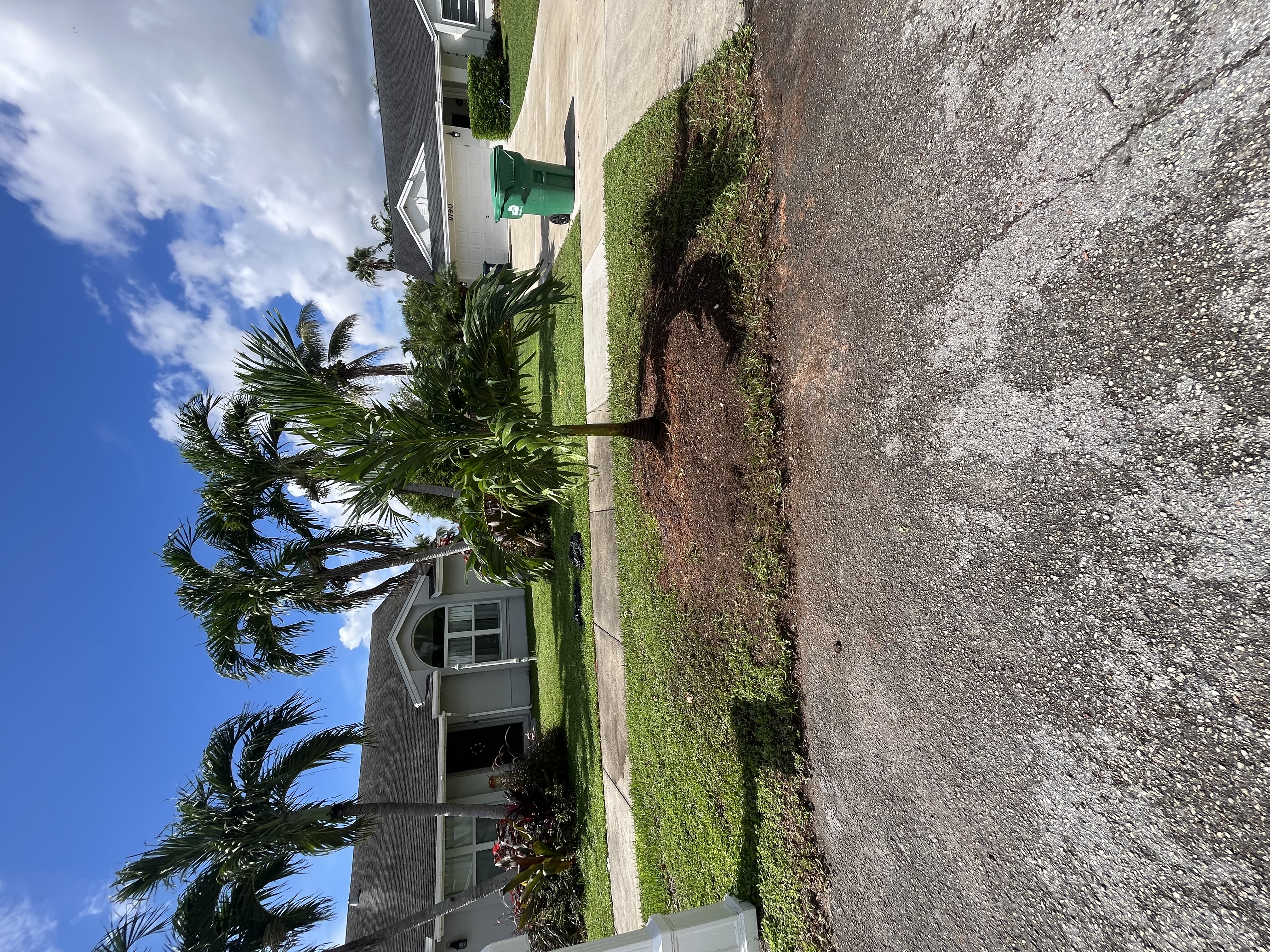 Image of TREE SERVICE 🌳 in Miami