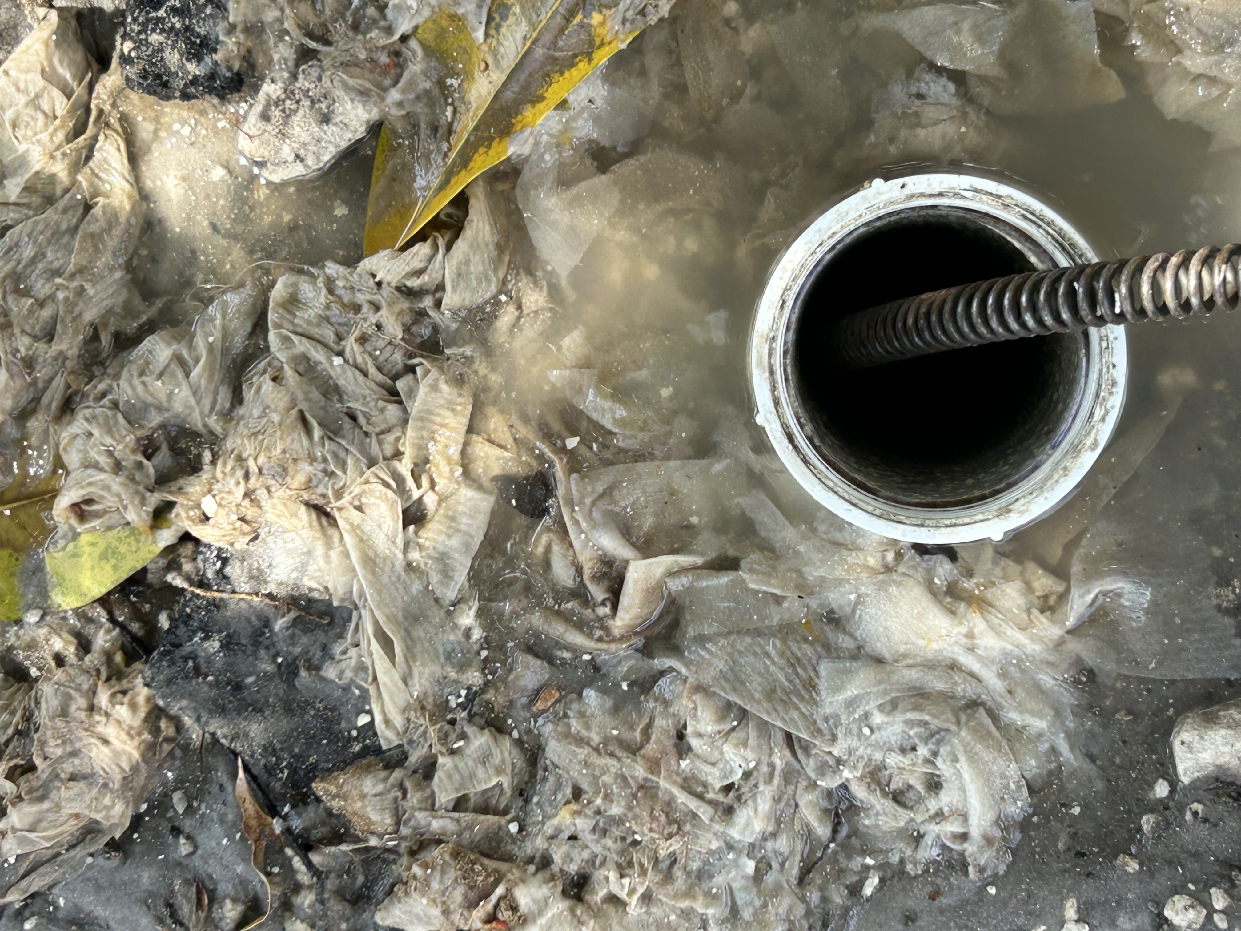 Image of Plumbing in Miami
