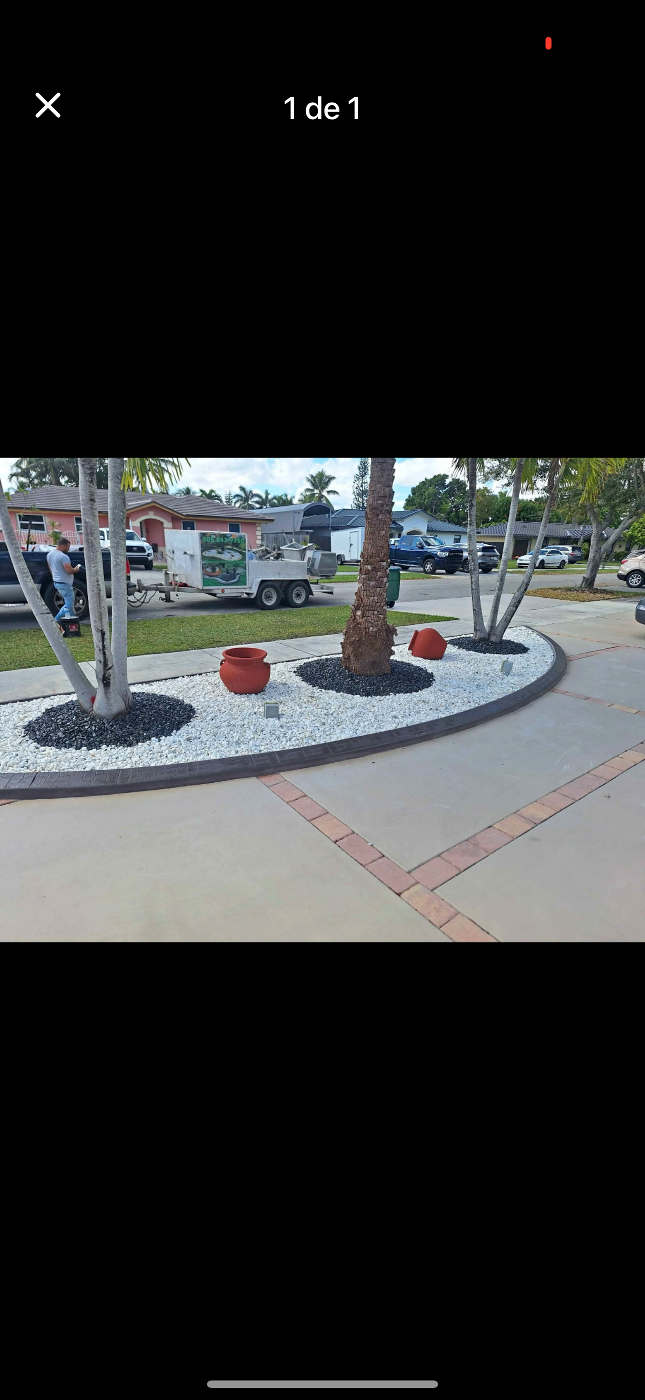 Image of jardinería in Miami Lakes. homestead