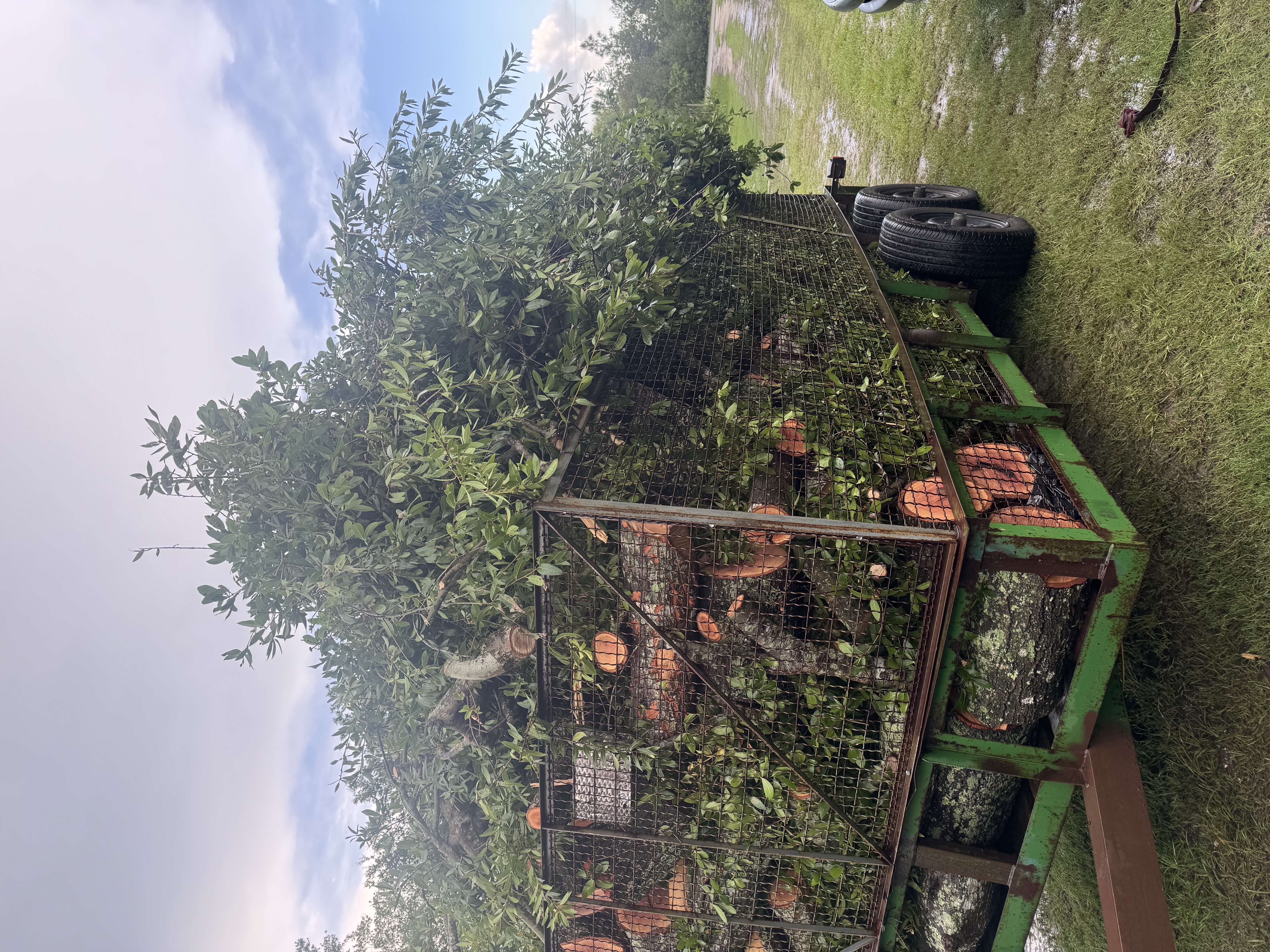 garbage collection service is offered