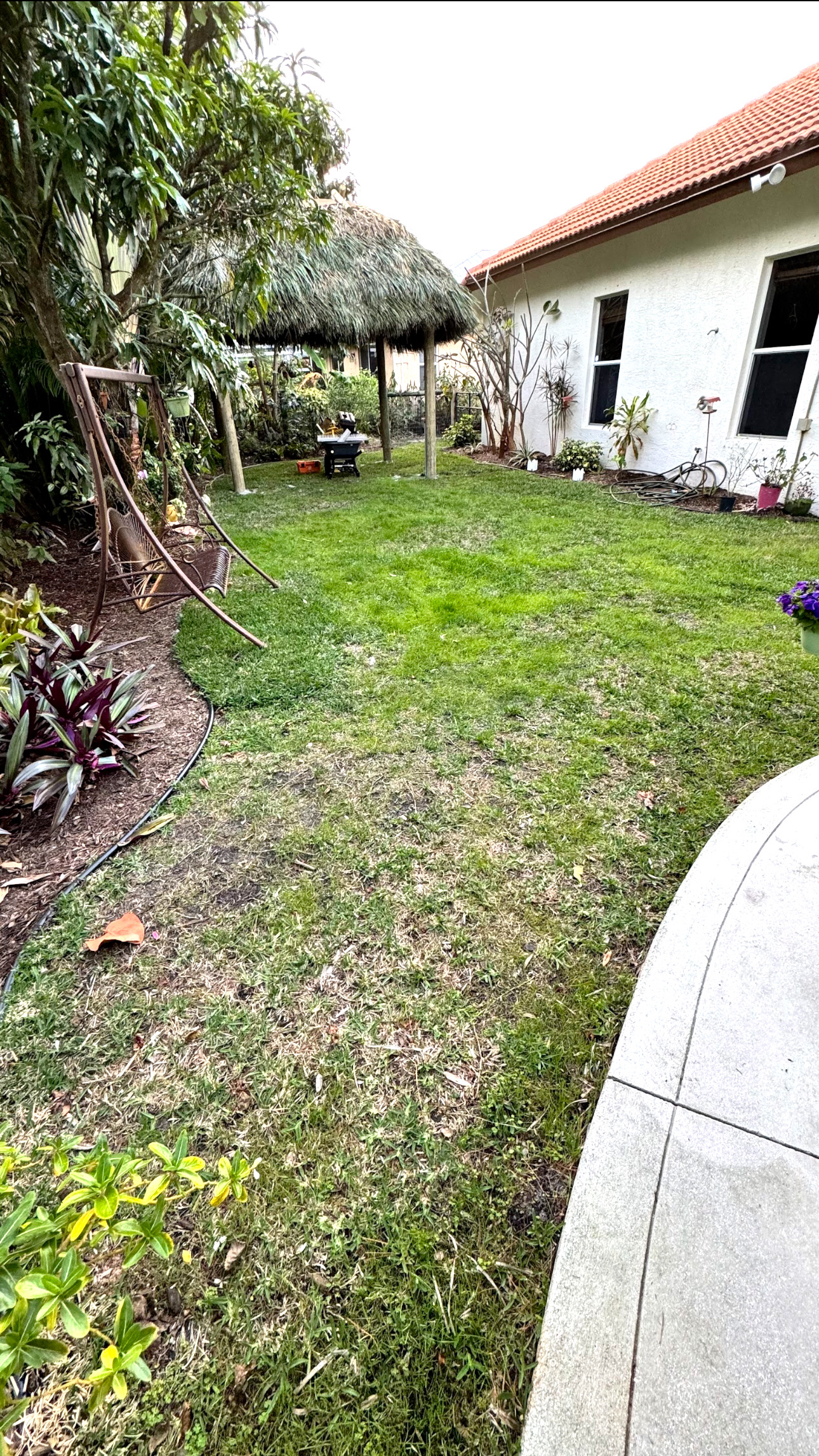 Image of Cesped Artificial Instalacion in West Palm Beach