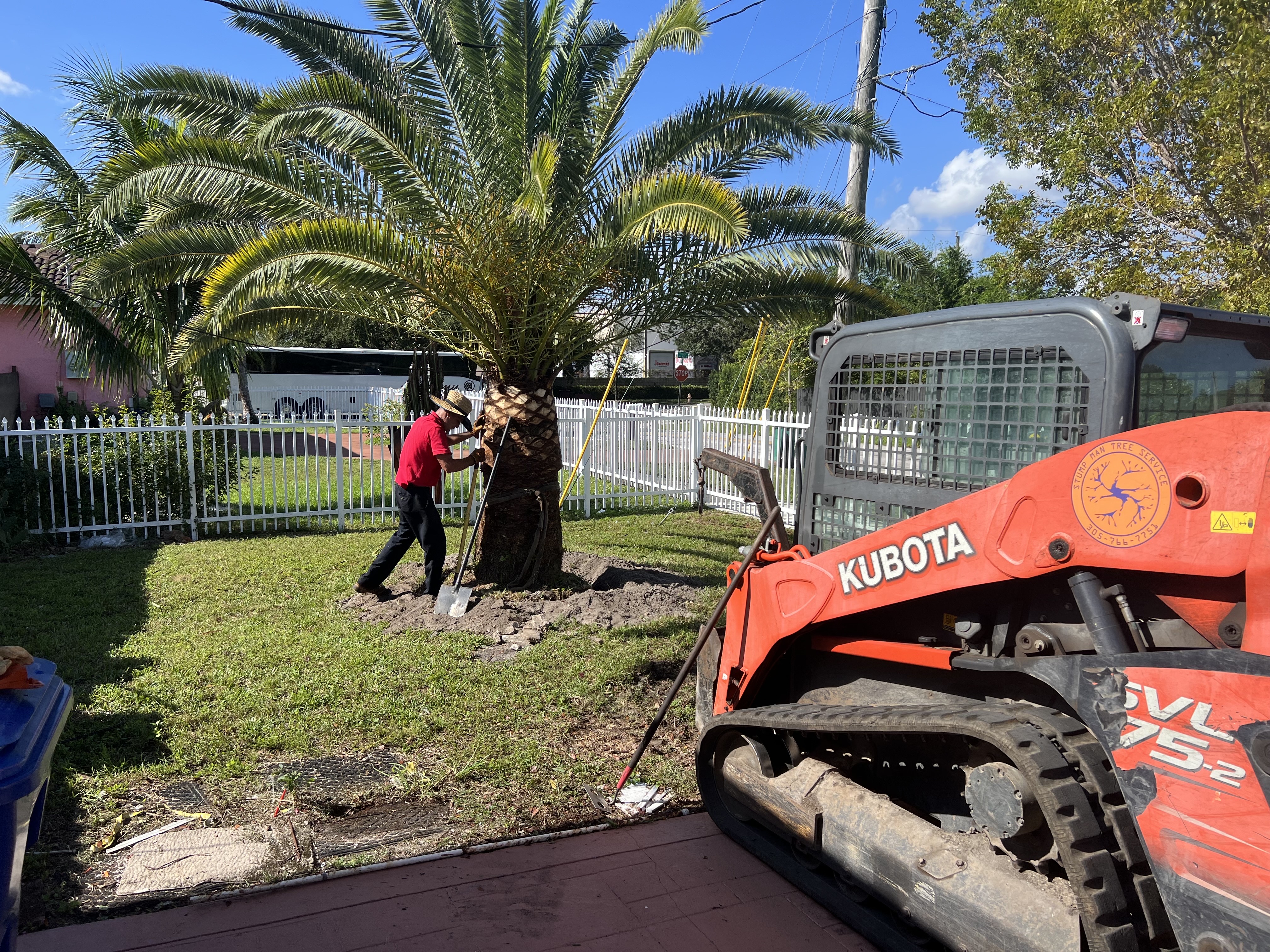 Image of Tree Service Bobcat Service in Homestead