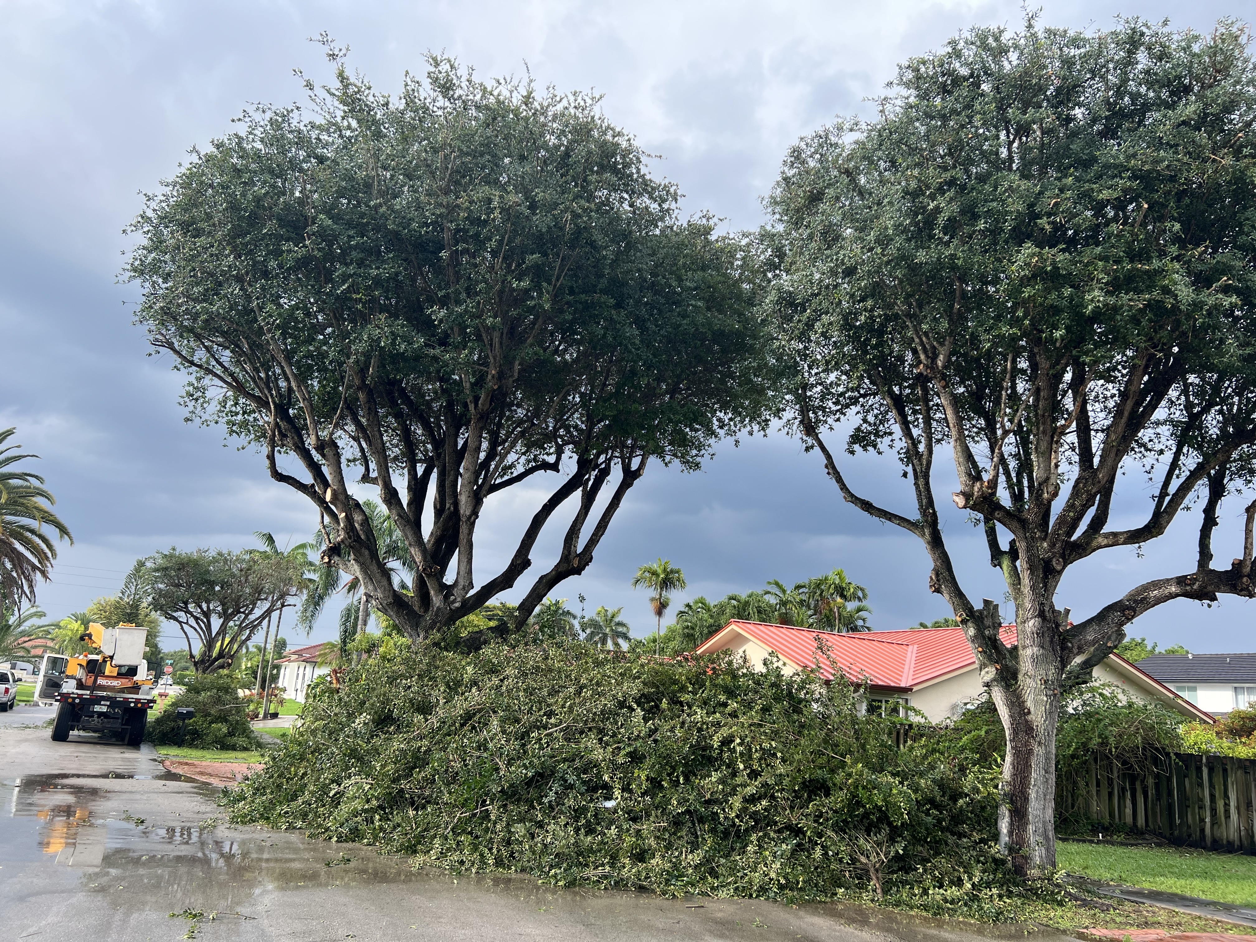 Image of Tree Service Bobcat Service in Homestead