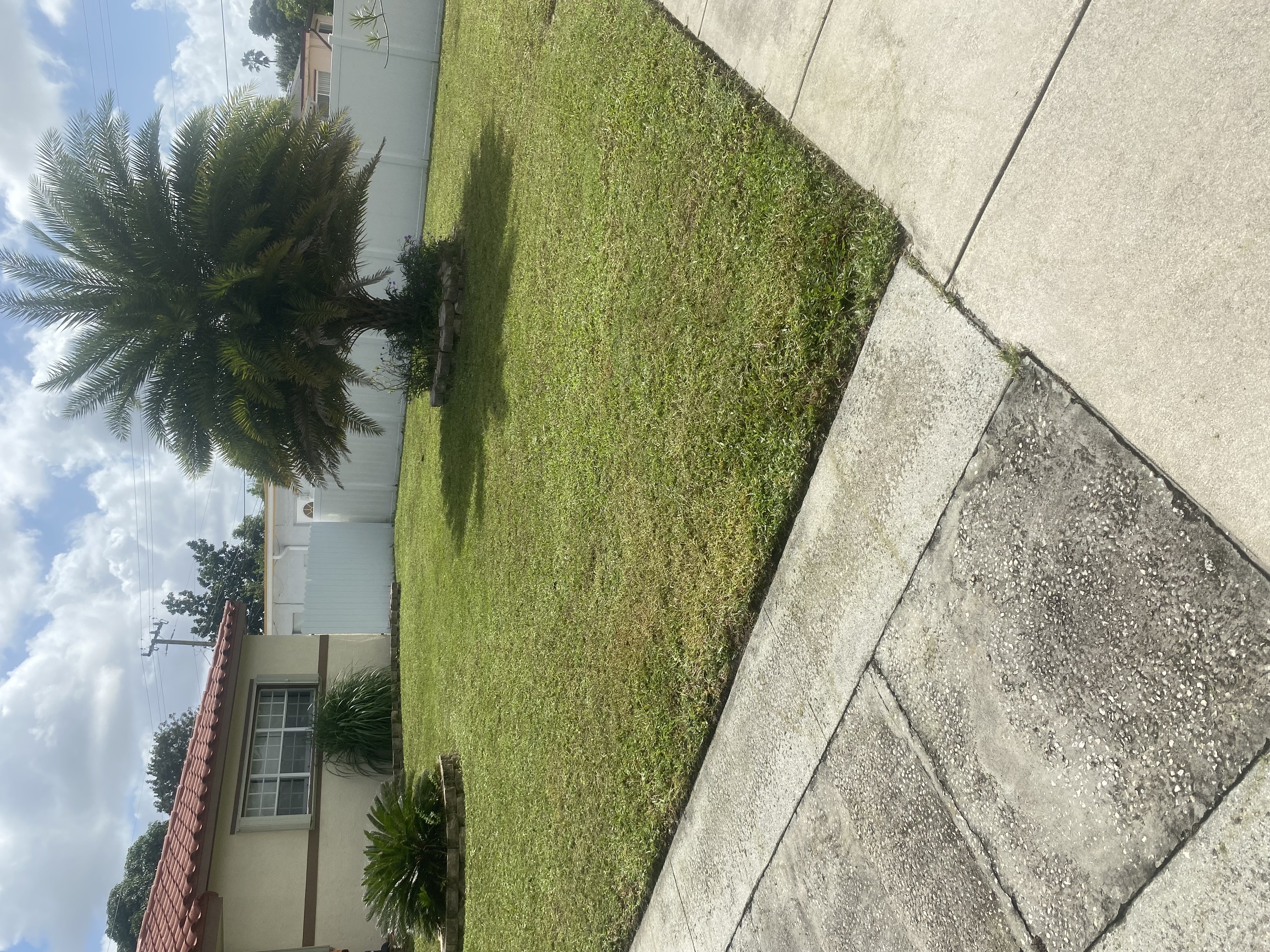 Image of EverLux Landscaping in Fort Lauderdale