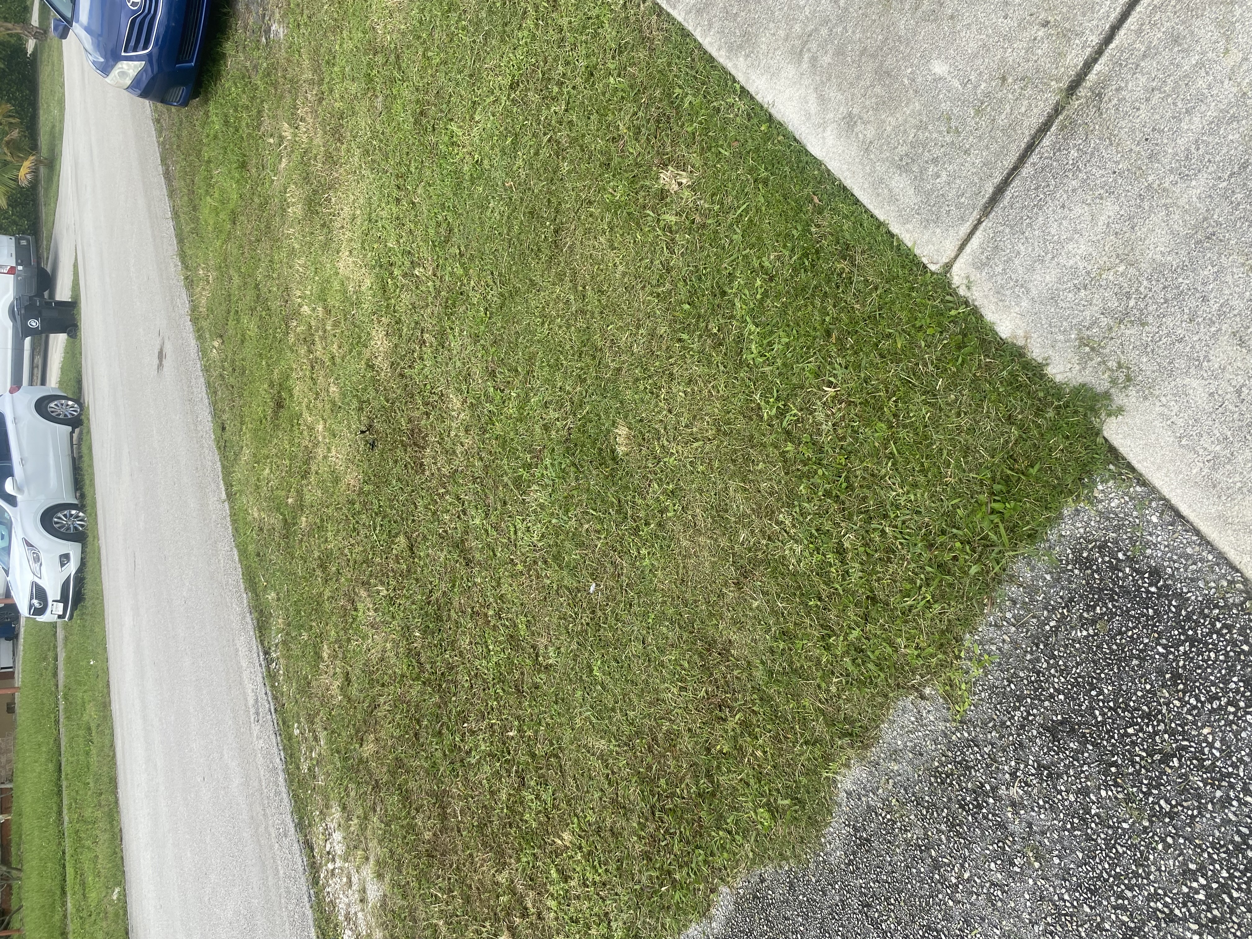 Image of EverLux Landscaping in Fort Lauderdale
