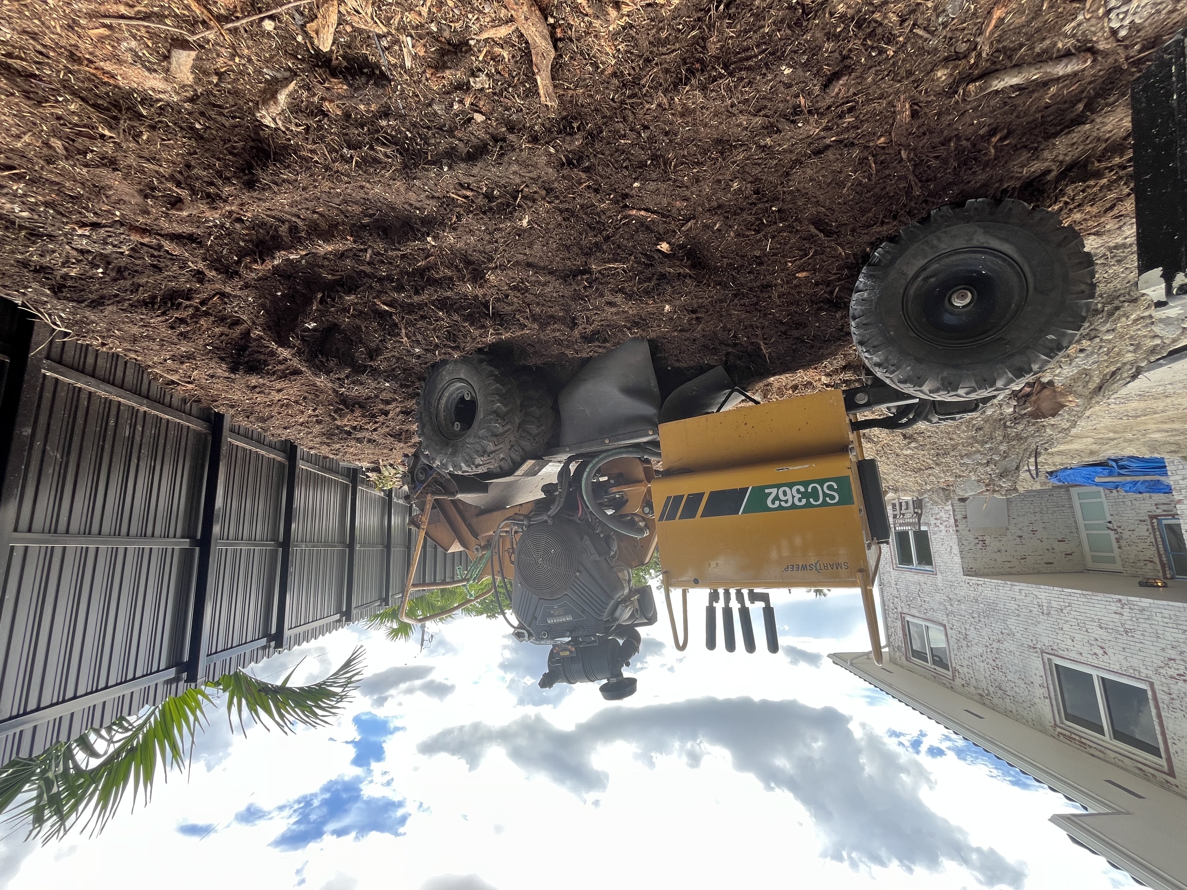 Image of TREE SERVICE 🌳 in Miami