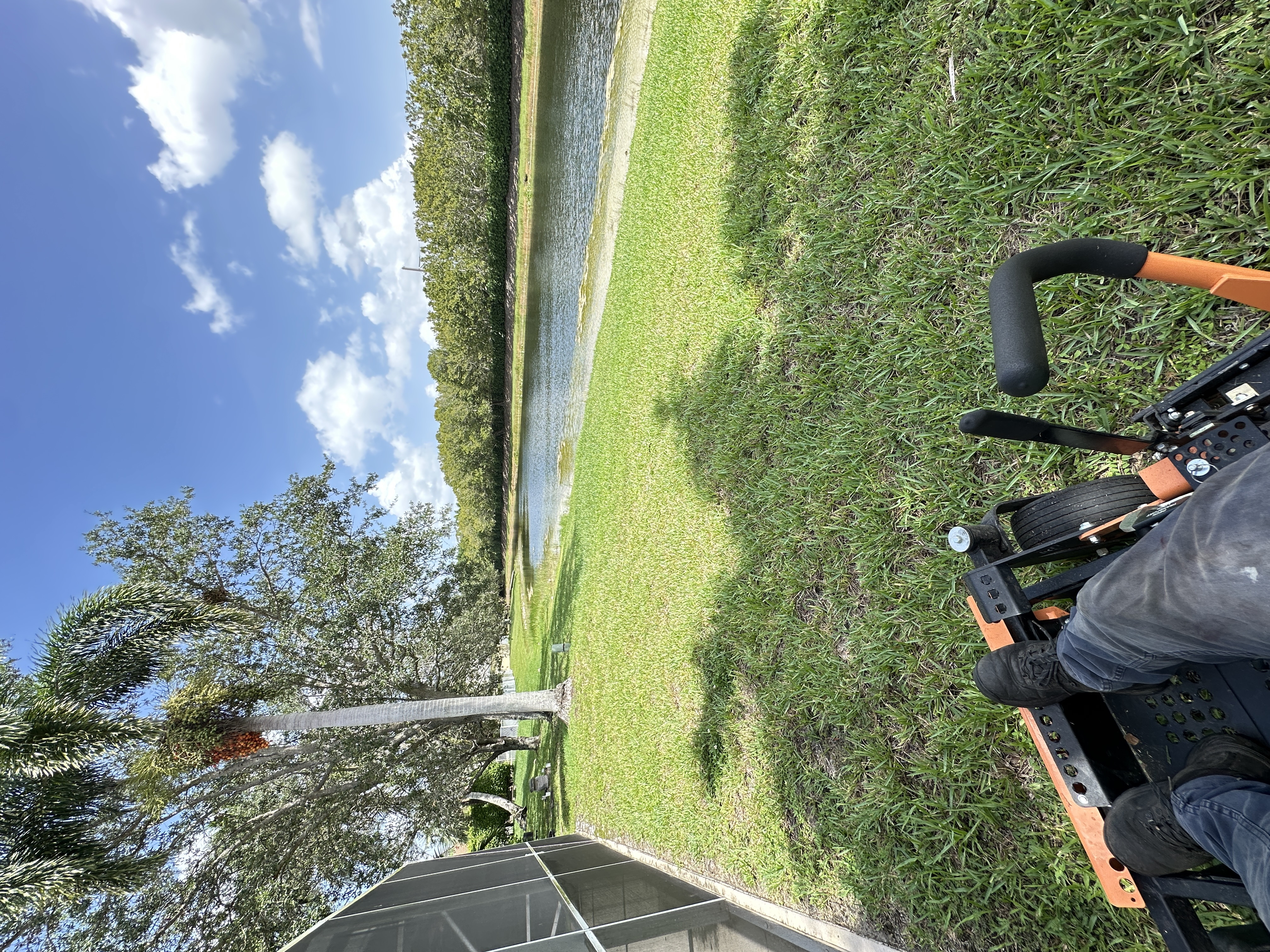 Image of Tree Services in Miami 