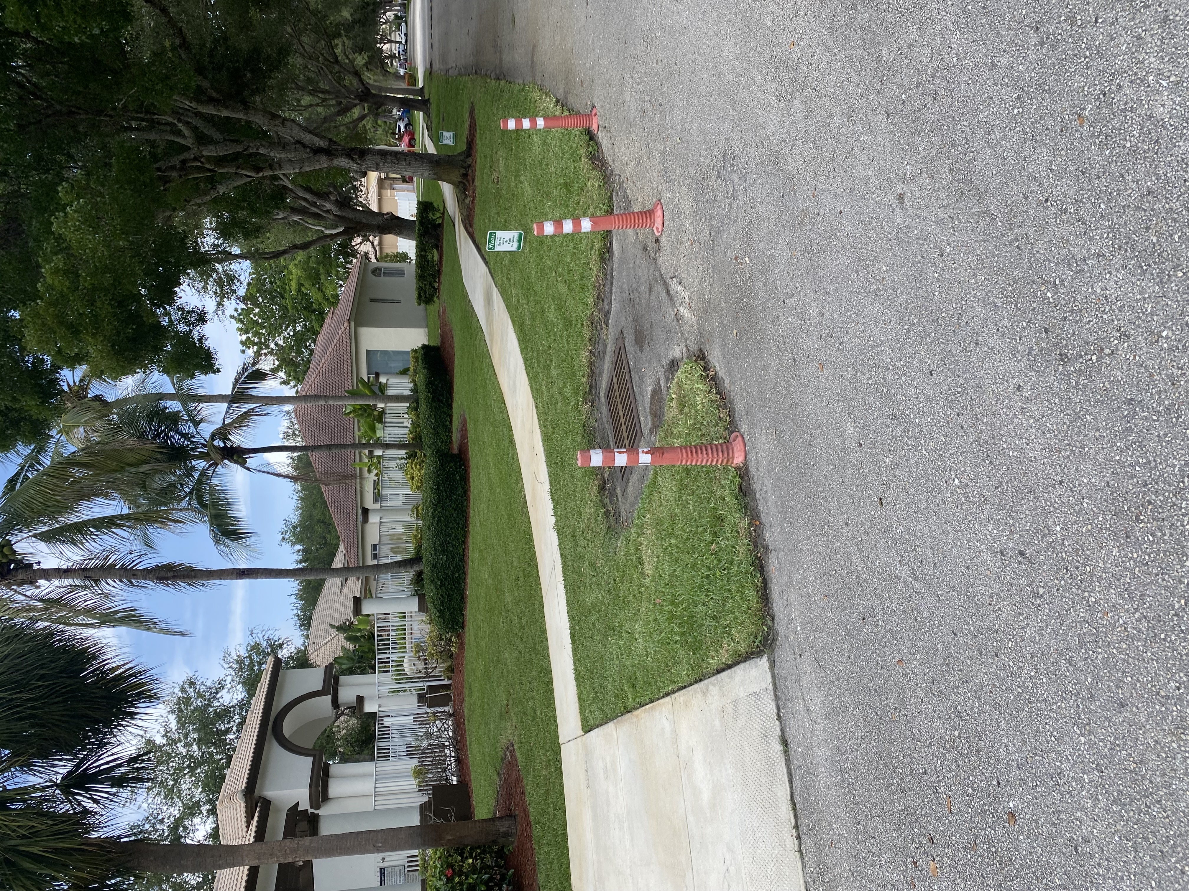 Image of trimming in Miami