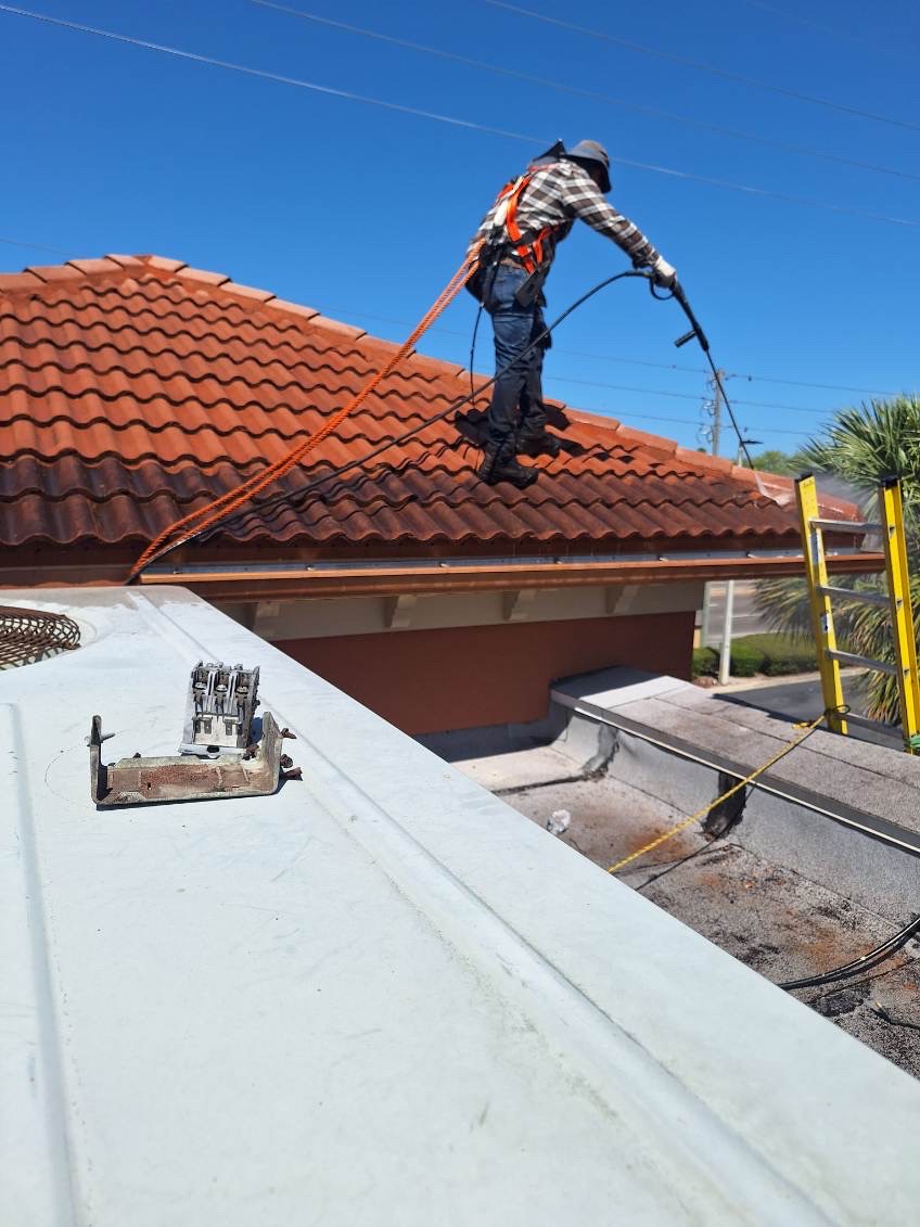 Image of lavados a precion in Tampa