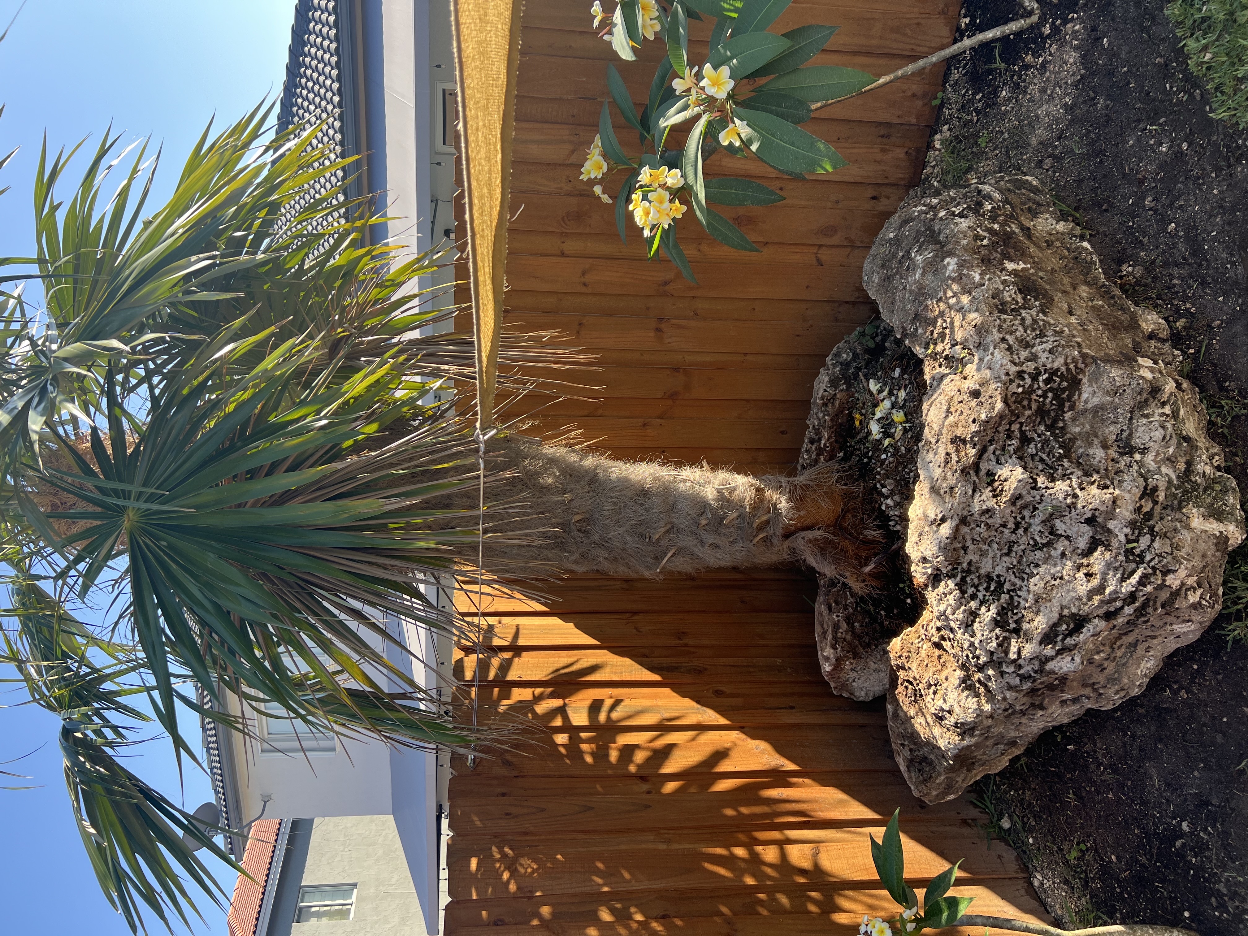 Image of Tree Service Bobcat Service in Homestead