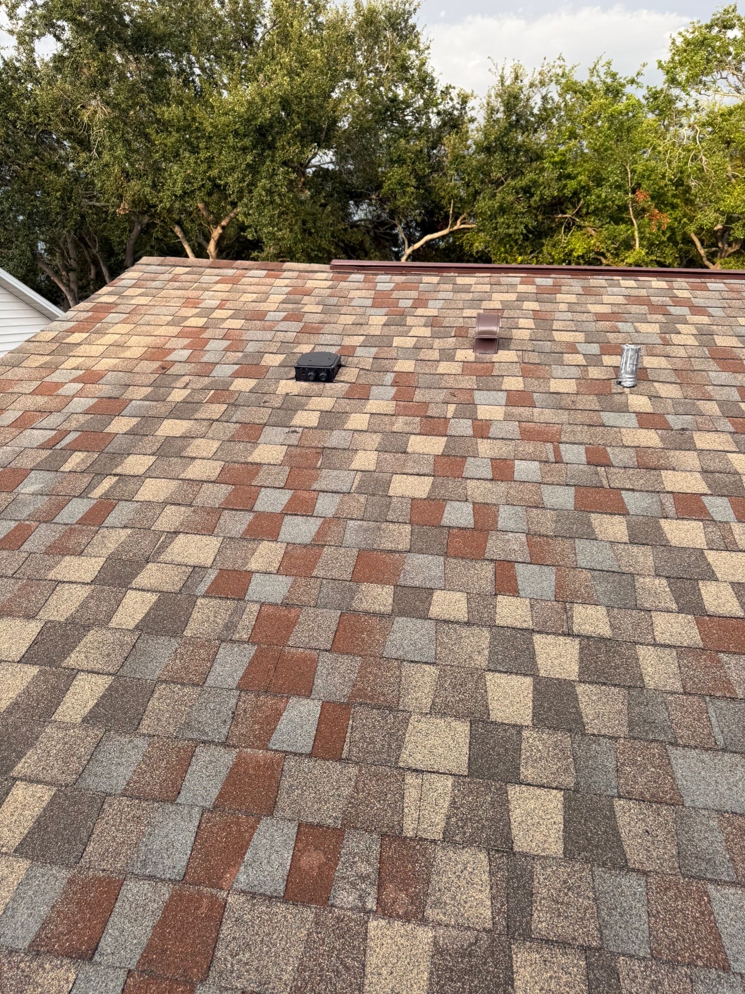 Image of Mrs Bravo Roofing Corp in Tampa