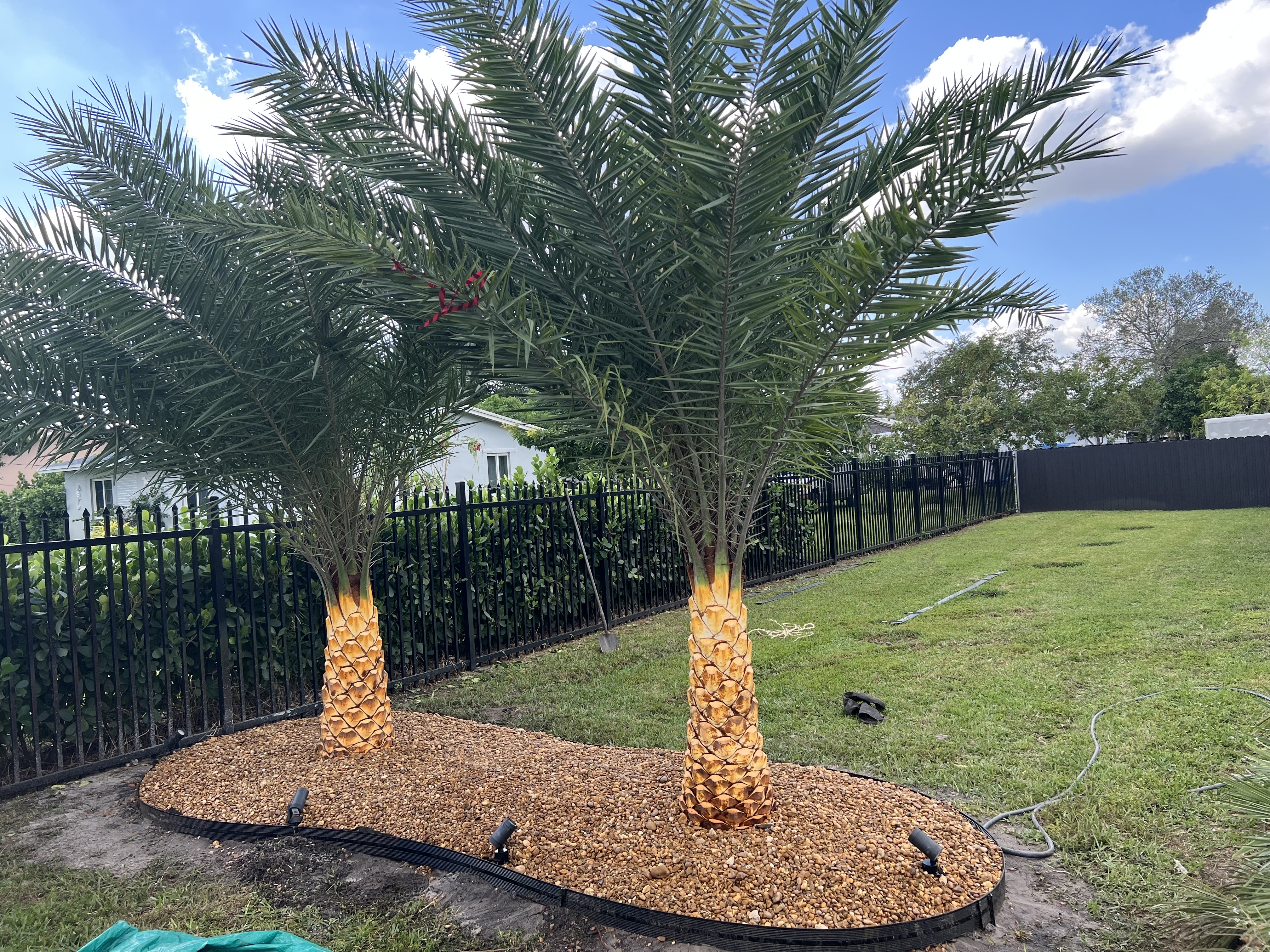 Image of Tree Service Bobcat Service in Homestead