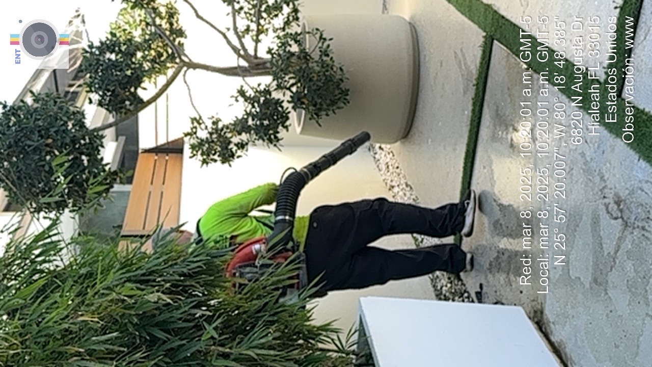 Image of jardinería in Miami Lakes. homestead