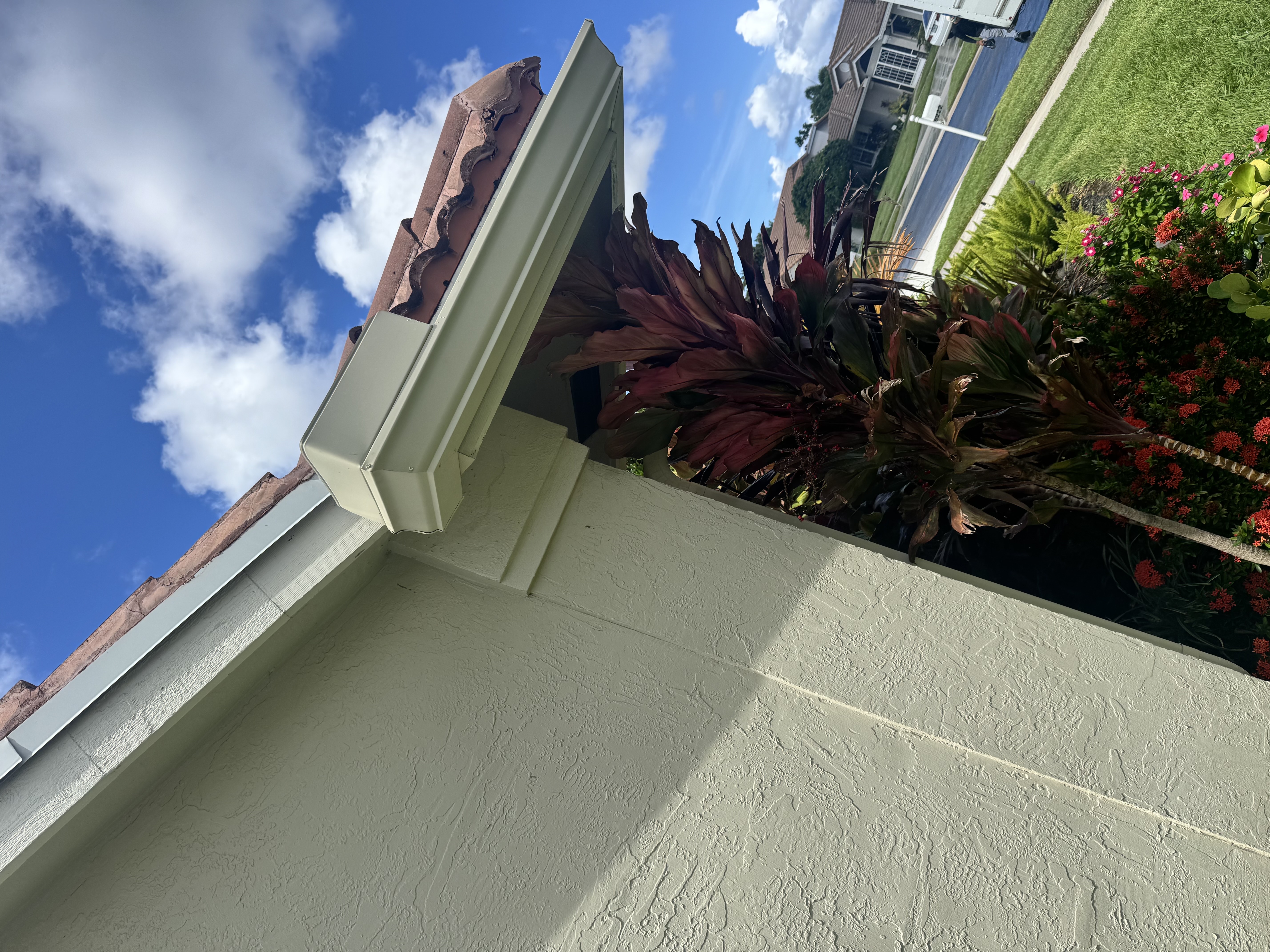 Image of Gutters Rodríguez  in Miami